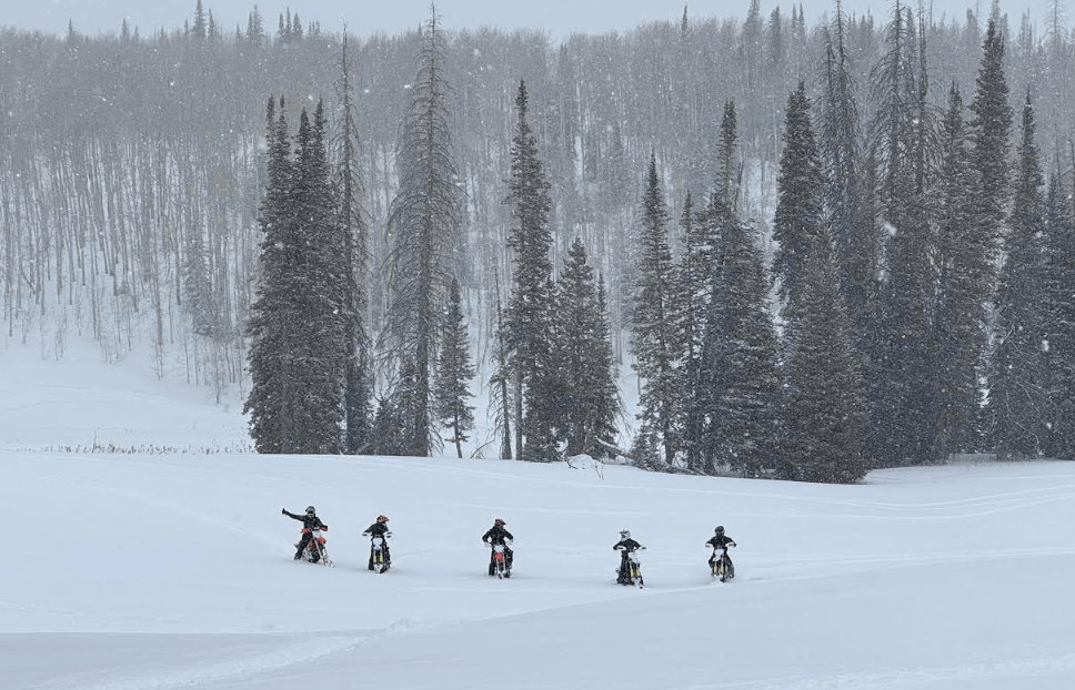 Image quality insufficient for description