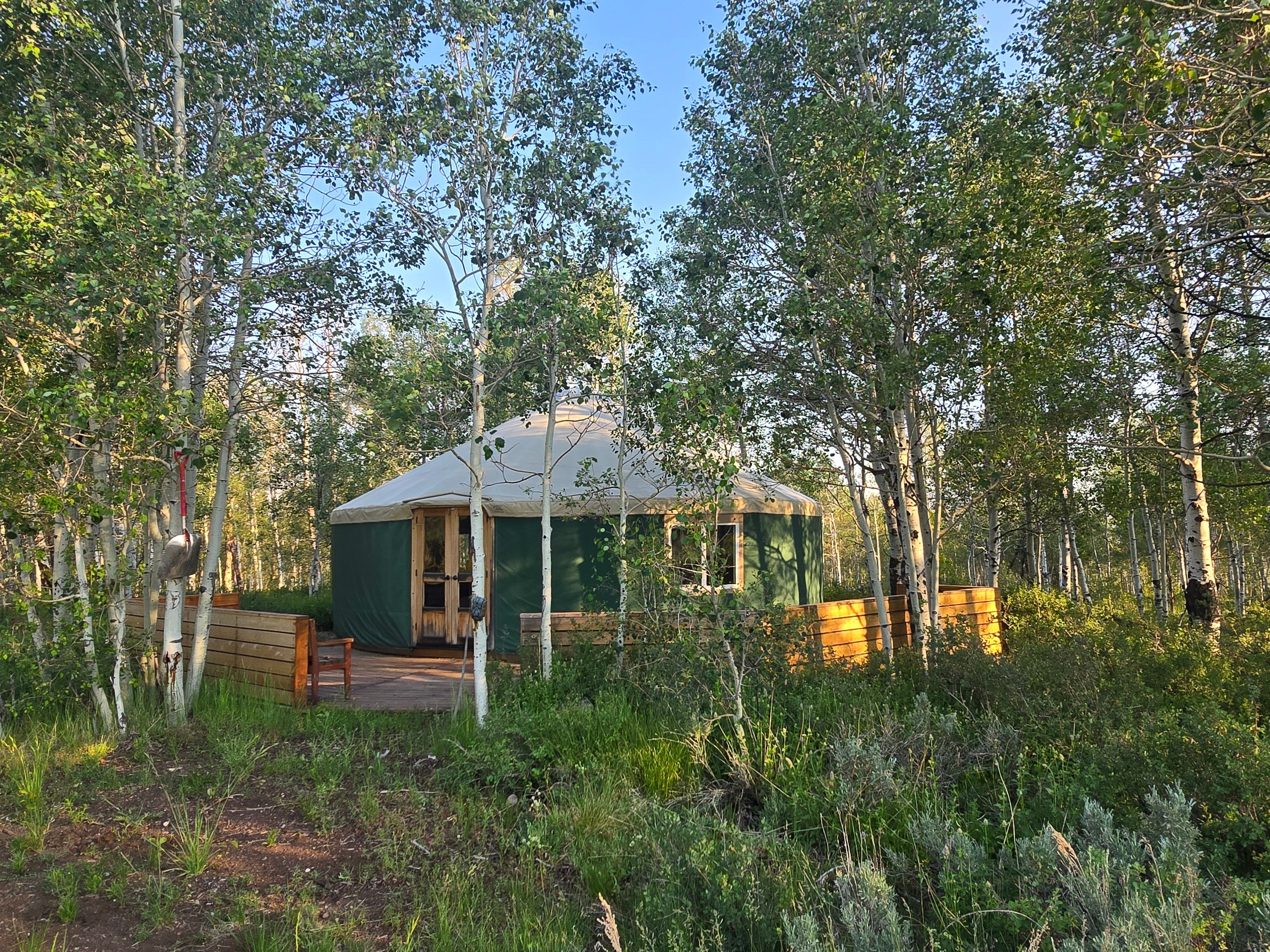 Green yurt structure with a light-colored canvas roof surrounded by mature deciduous trees