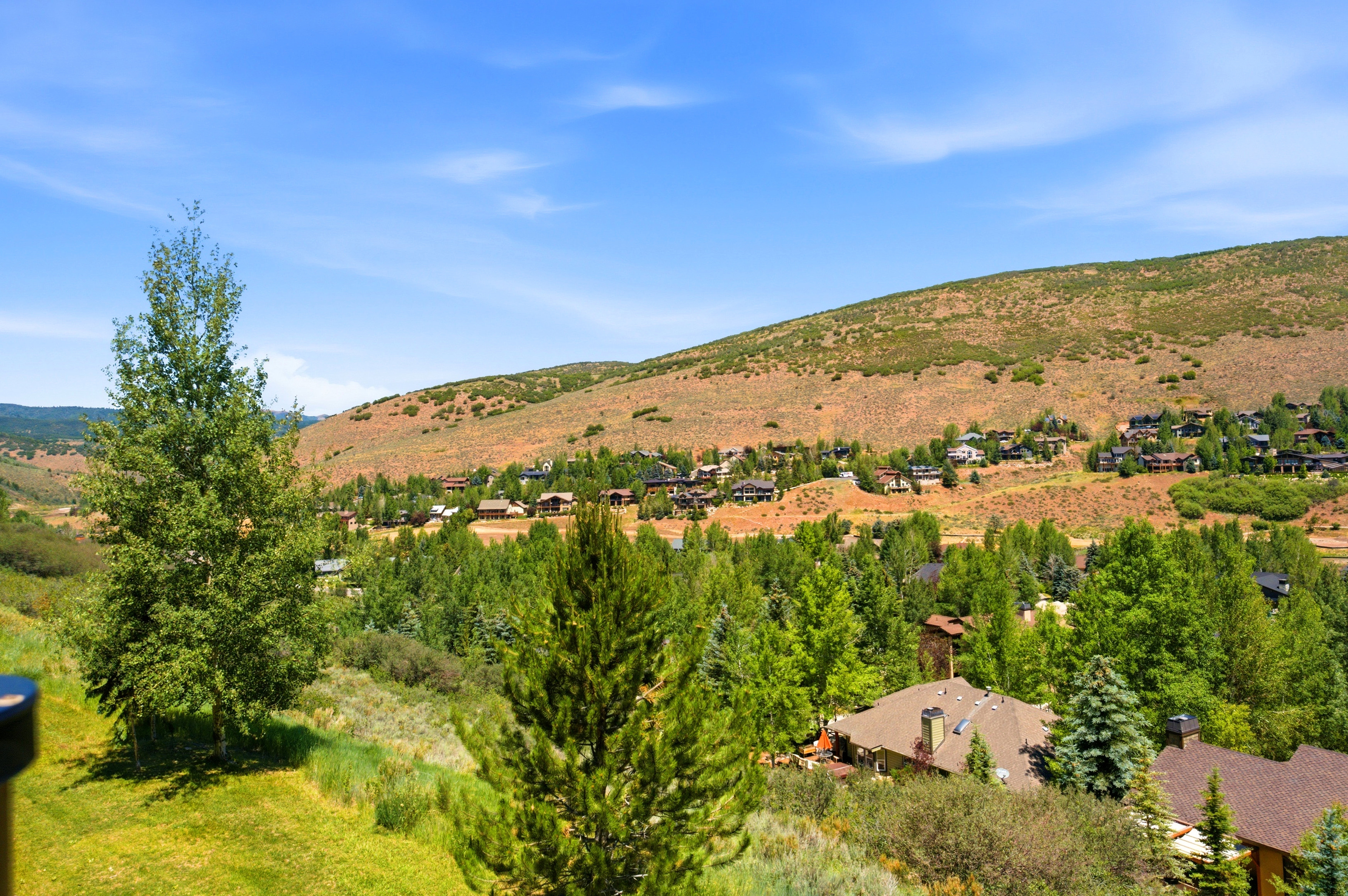 Expansive natural landscape featuring rolling hills and abundant trees