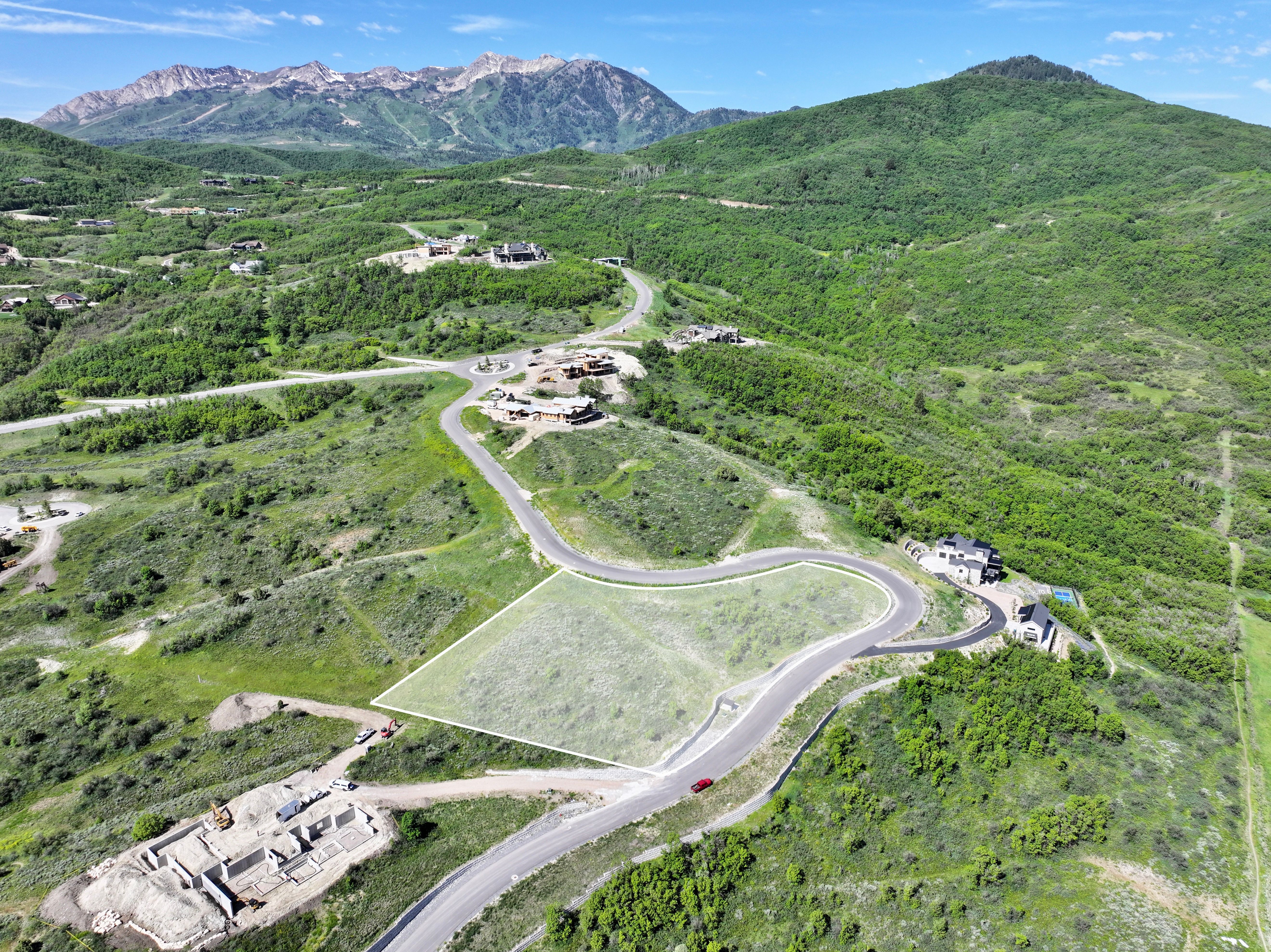 Expansive sloped lot featuring natural green landscaping and a paved road frontage