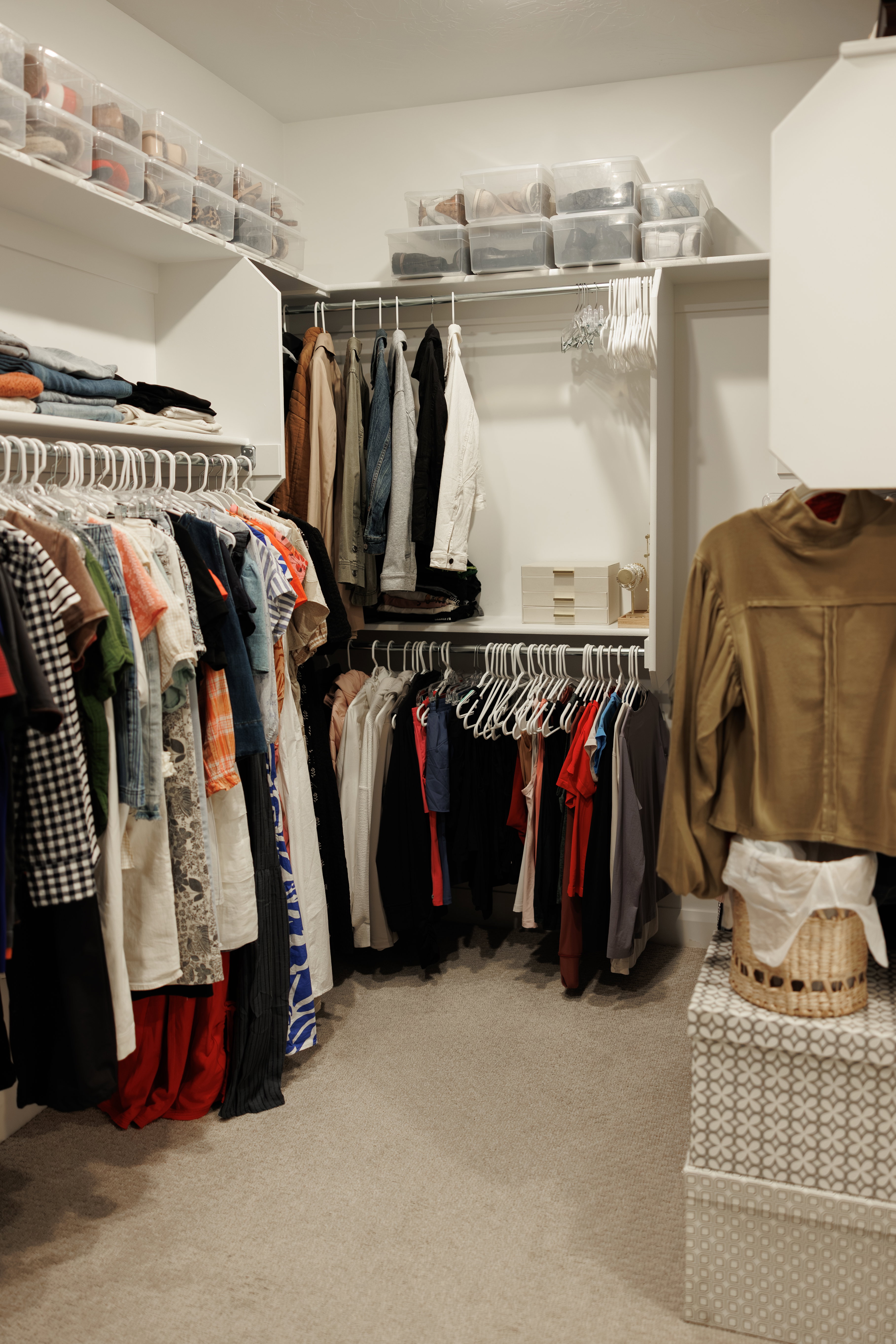 Primary closet featuring light-colored carpeting, multiple hanging rods, and integrated shelving