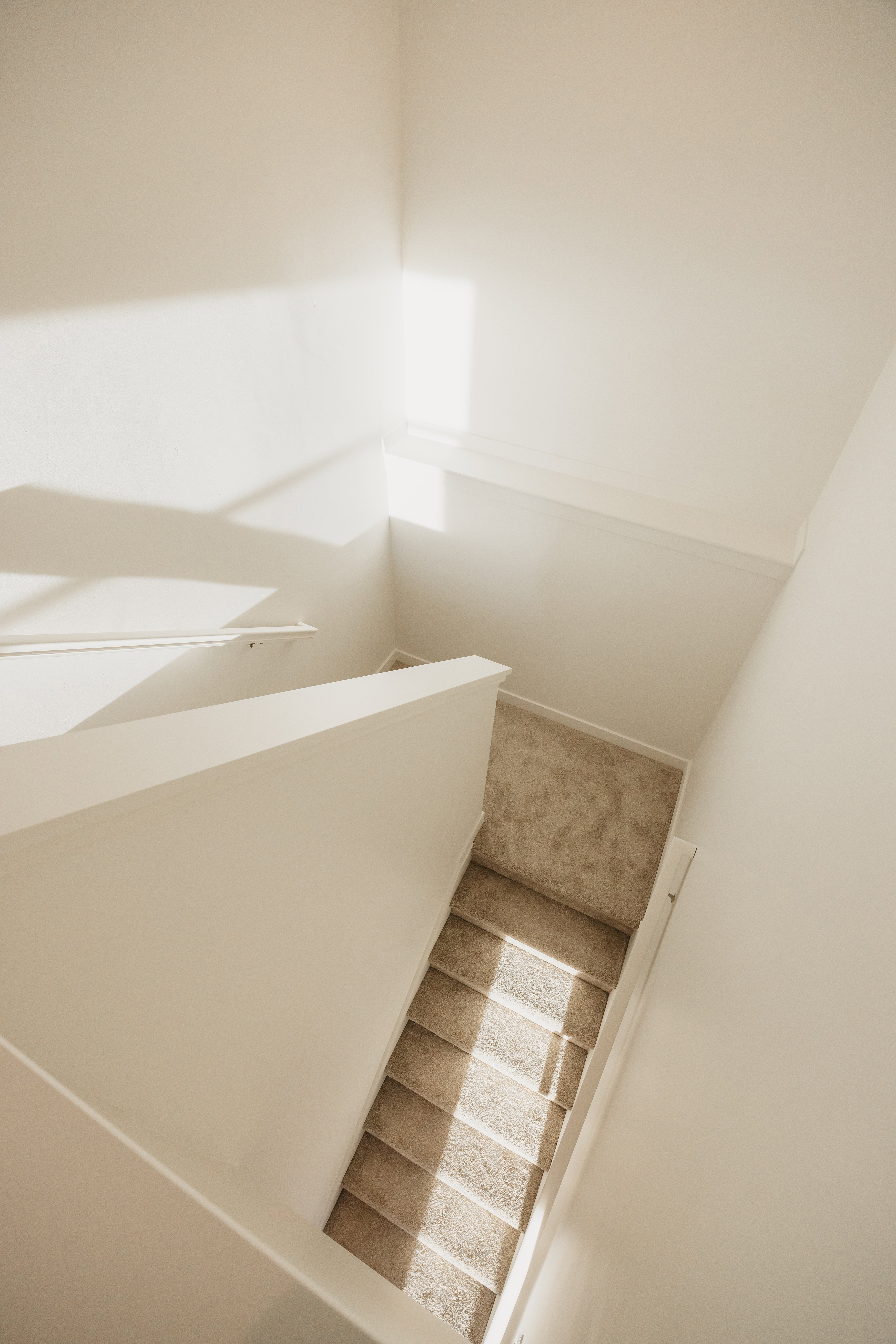 Carpeted staircase with white painted walls and white trim