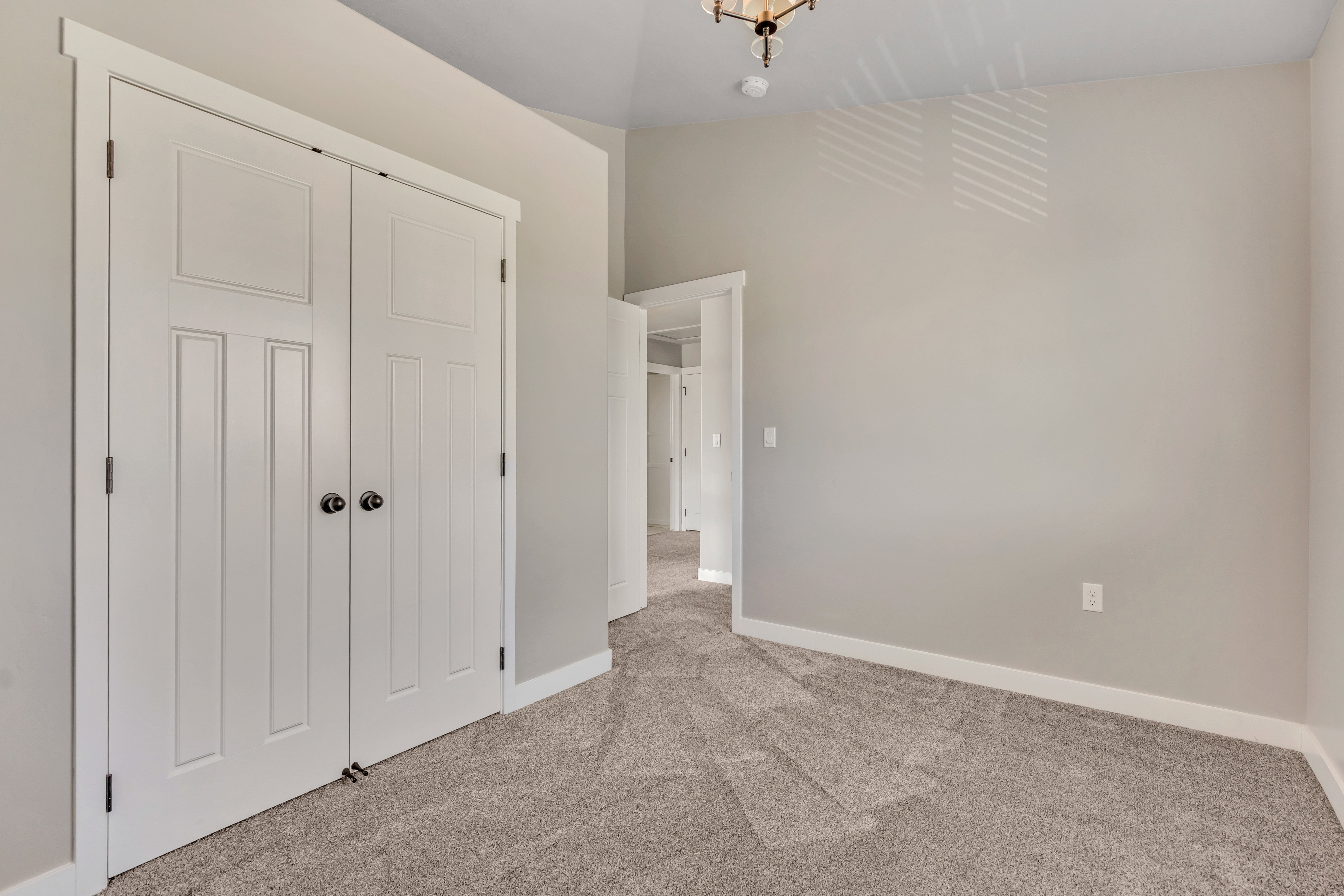 Neutral-toned room featuring a double-door closet with black hardware, complementing light gray carpeting