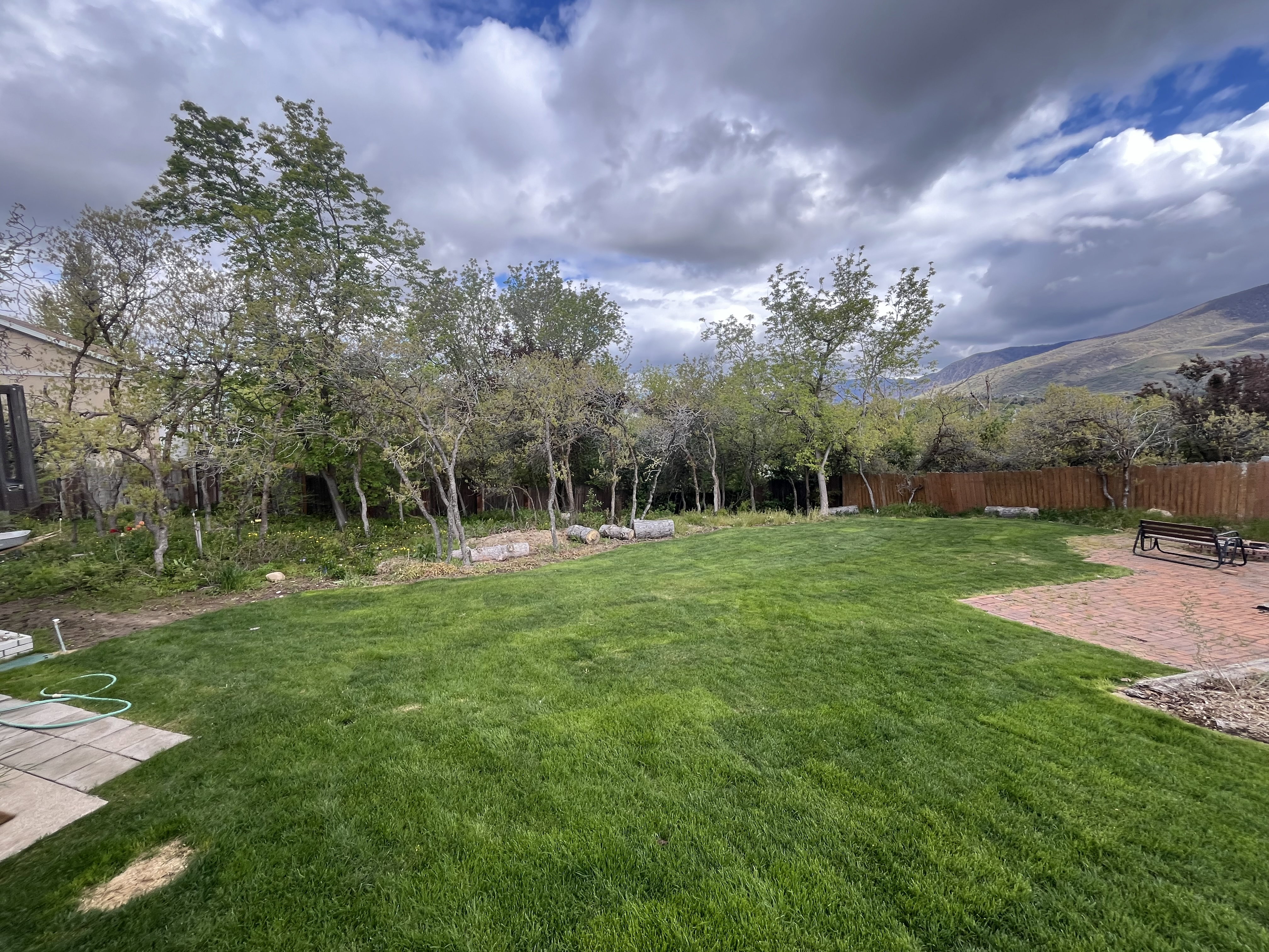 Expansive backyard featuring a lush lawn, mature trees, a wood privacy fence, and a brick patio area