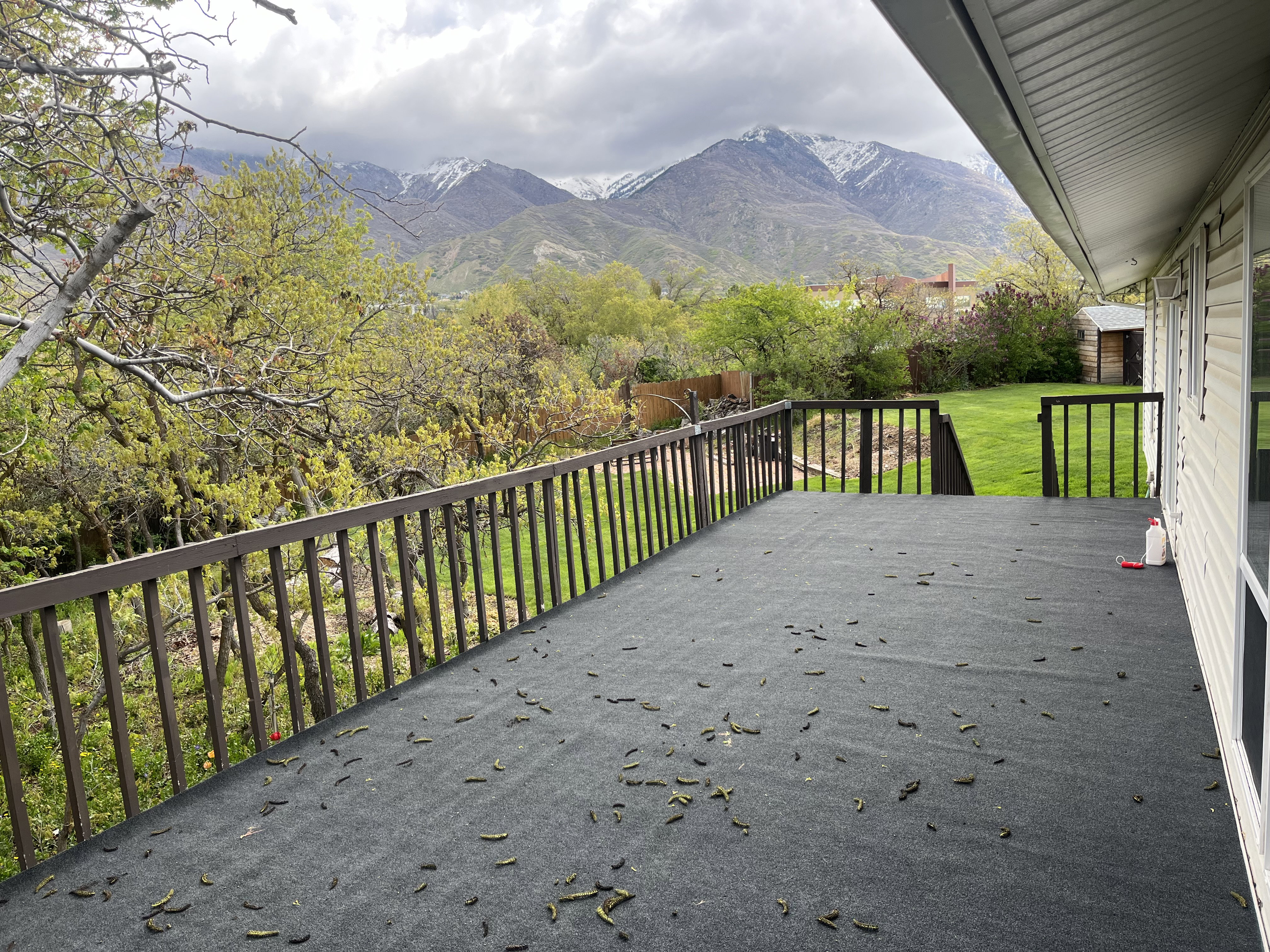 Expansive outdoor deck featuring a dark surface, brown railings, and verdant trees