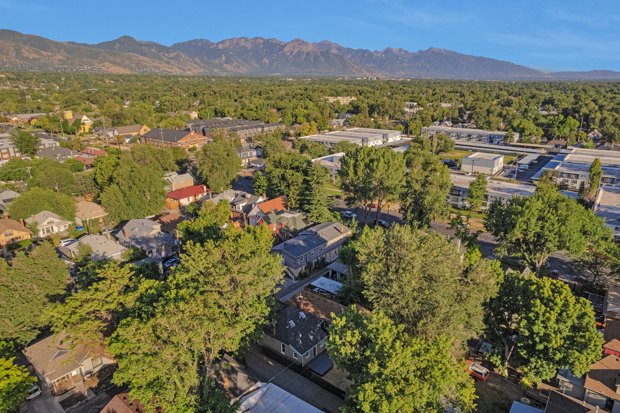 Aerial perspective showcasing a residential area with mature tree canopies, diverse architectural styles, and distant mountain ranges