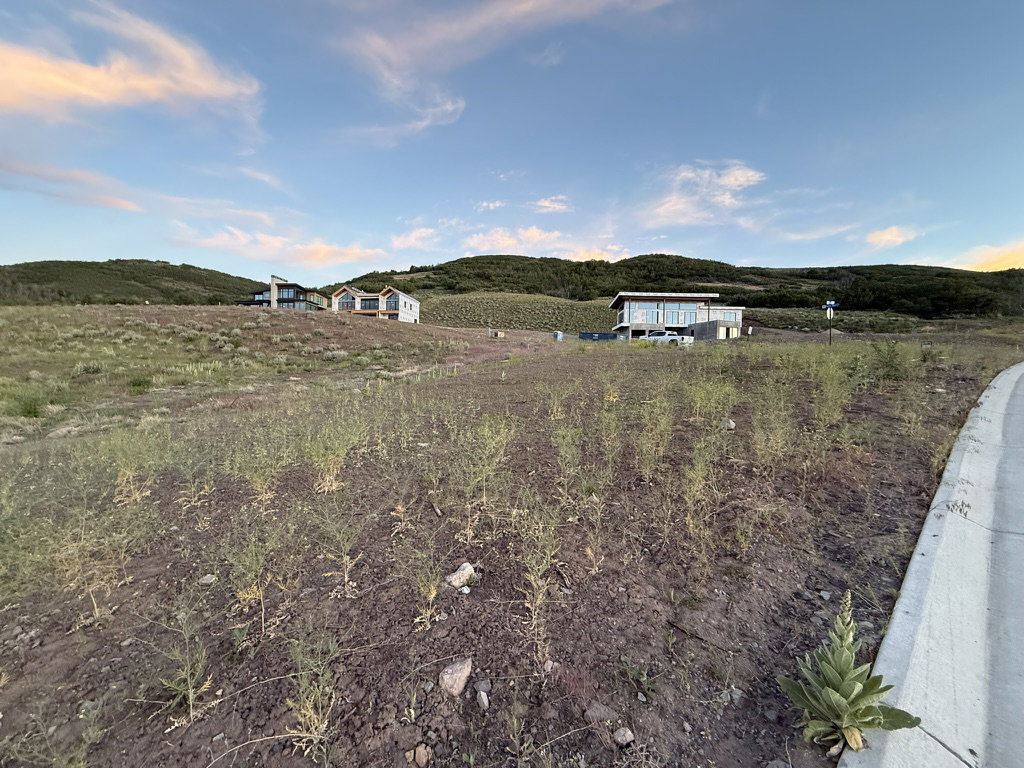 Expansive hillside lot featuring a paved border and natural vegetation