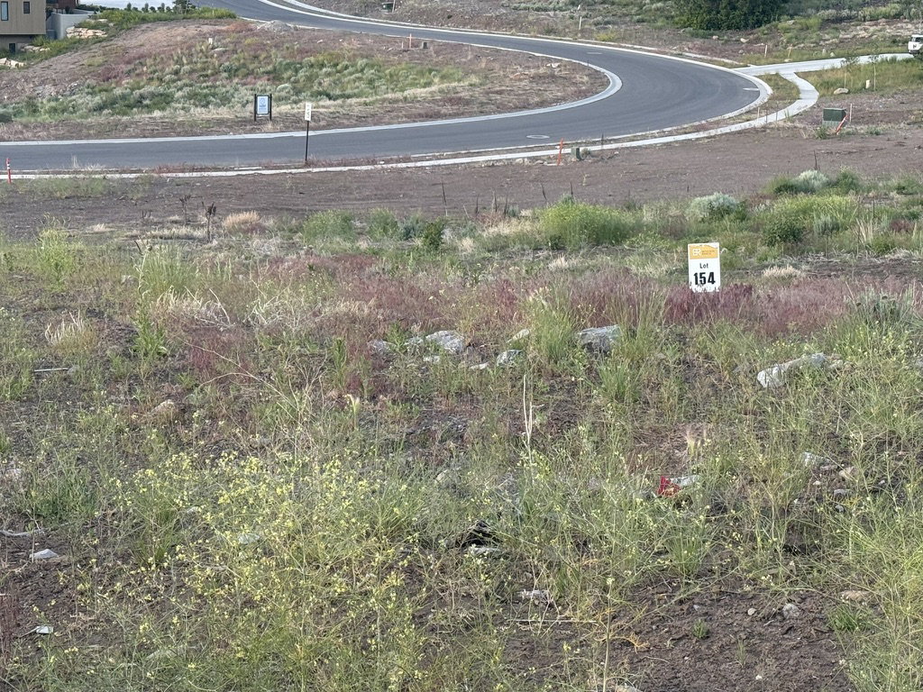 Undeveloped lot with natural vegetation and a curved paved road