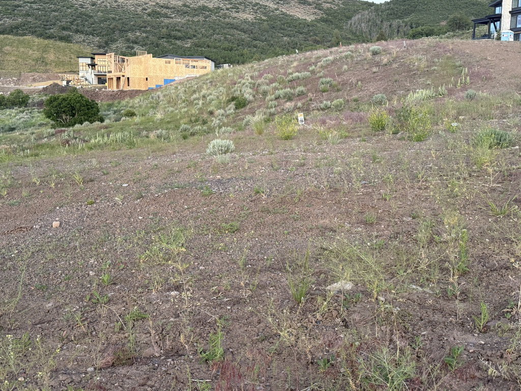 Sloping terrain featuring natural vegetation and distant hillside structures