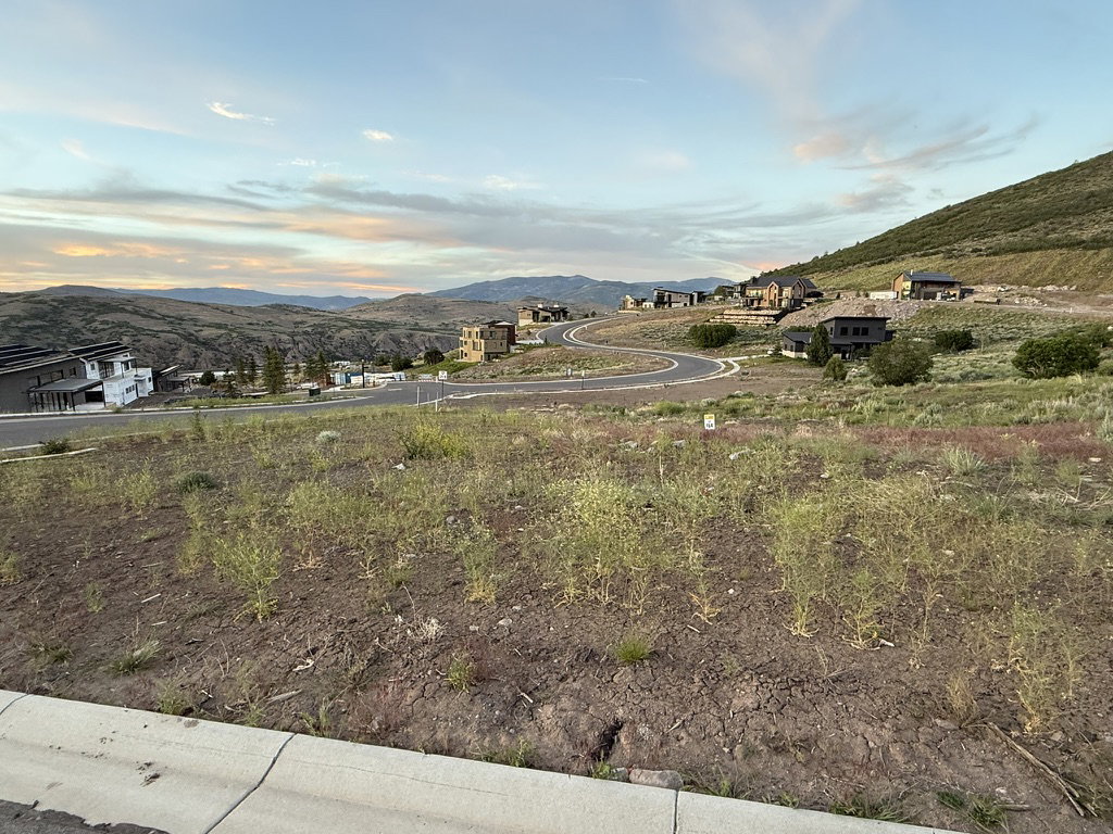 Expansive graded lot with existing curb and gutter infrastructure