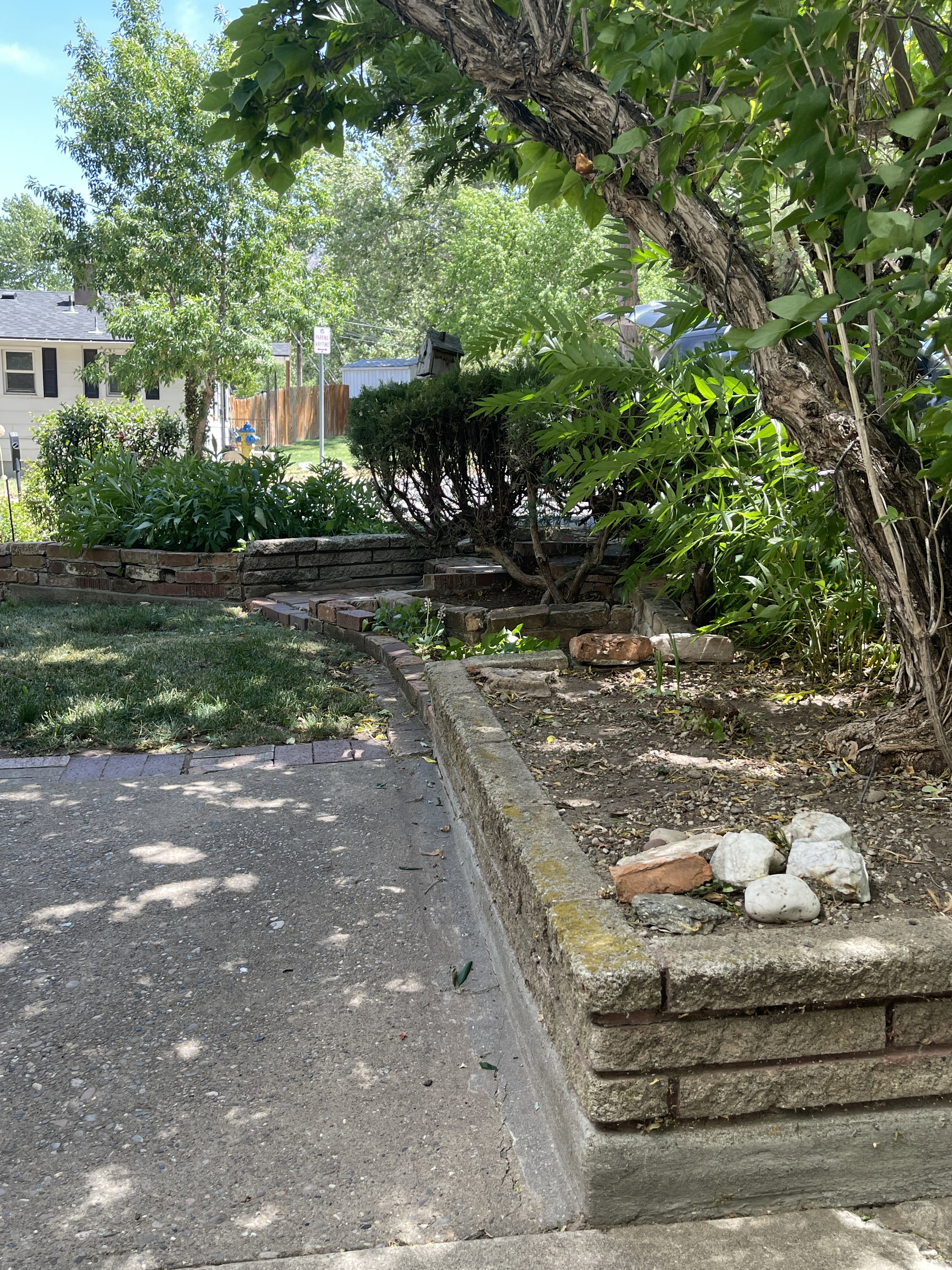 Front yard featuring mature trees, concrete paving, and a brick retaining wall