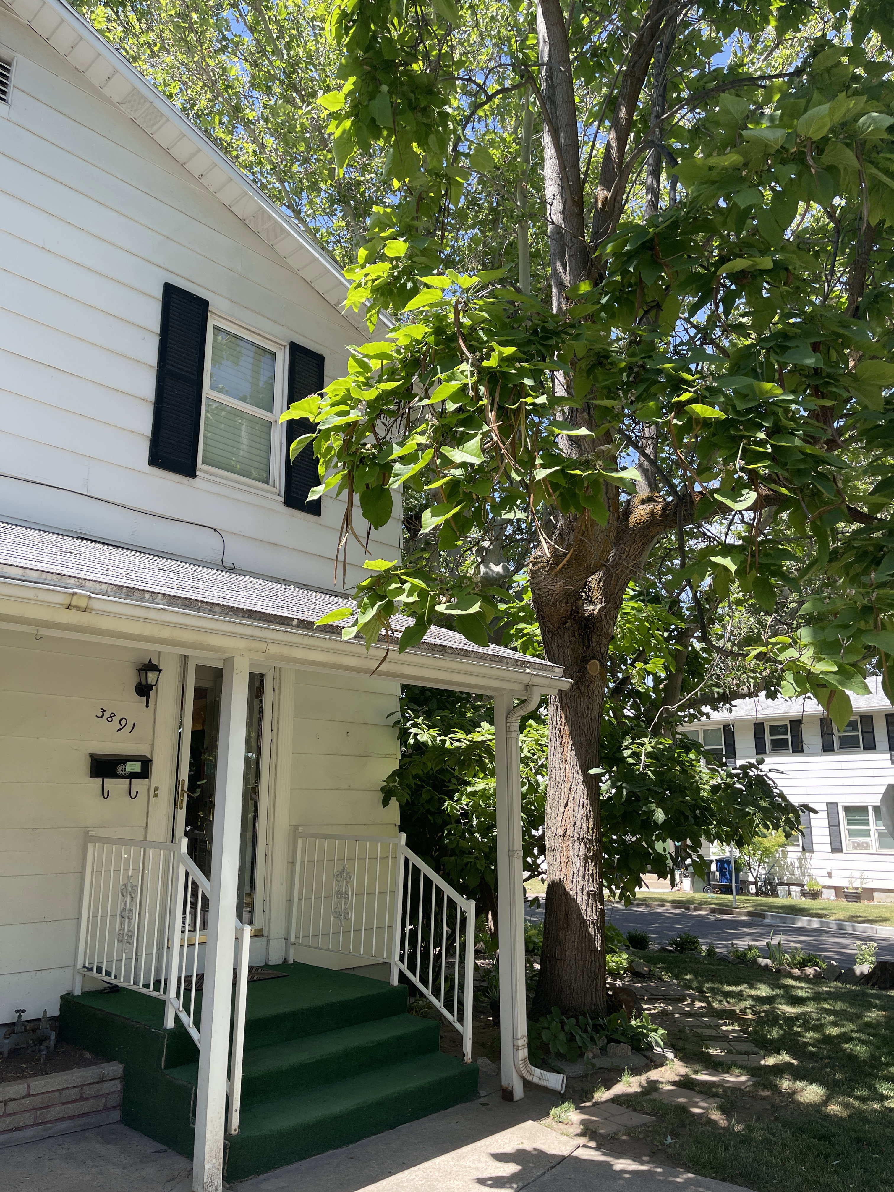Front entry featuring a covered porch, white railing, and green steps