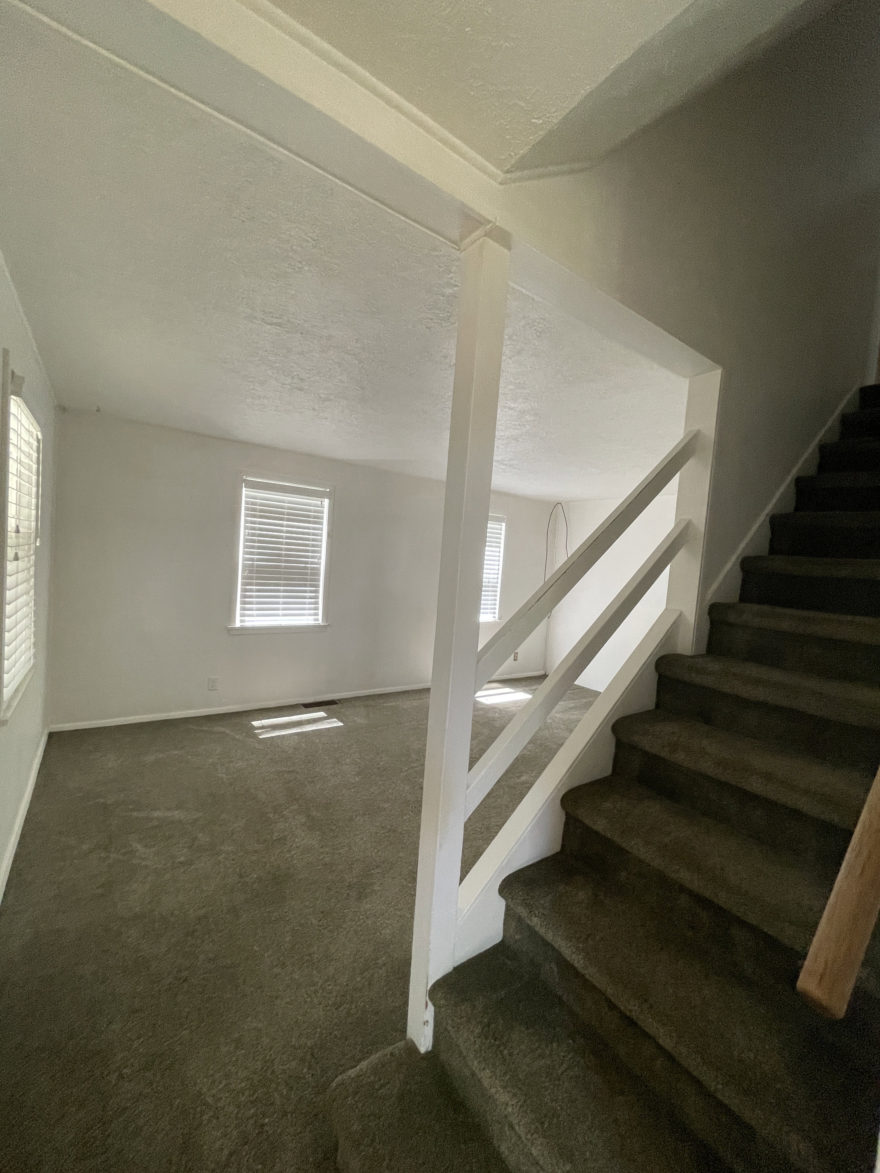 Carpeted stairway with white railing, leading to a carpeted room with multiple windows