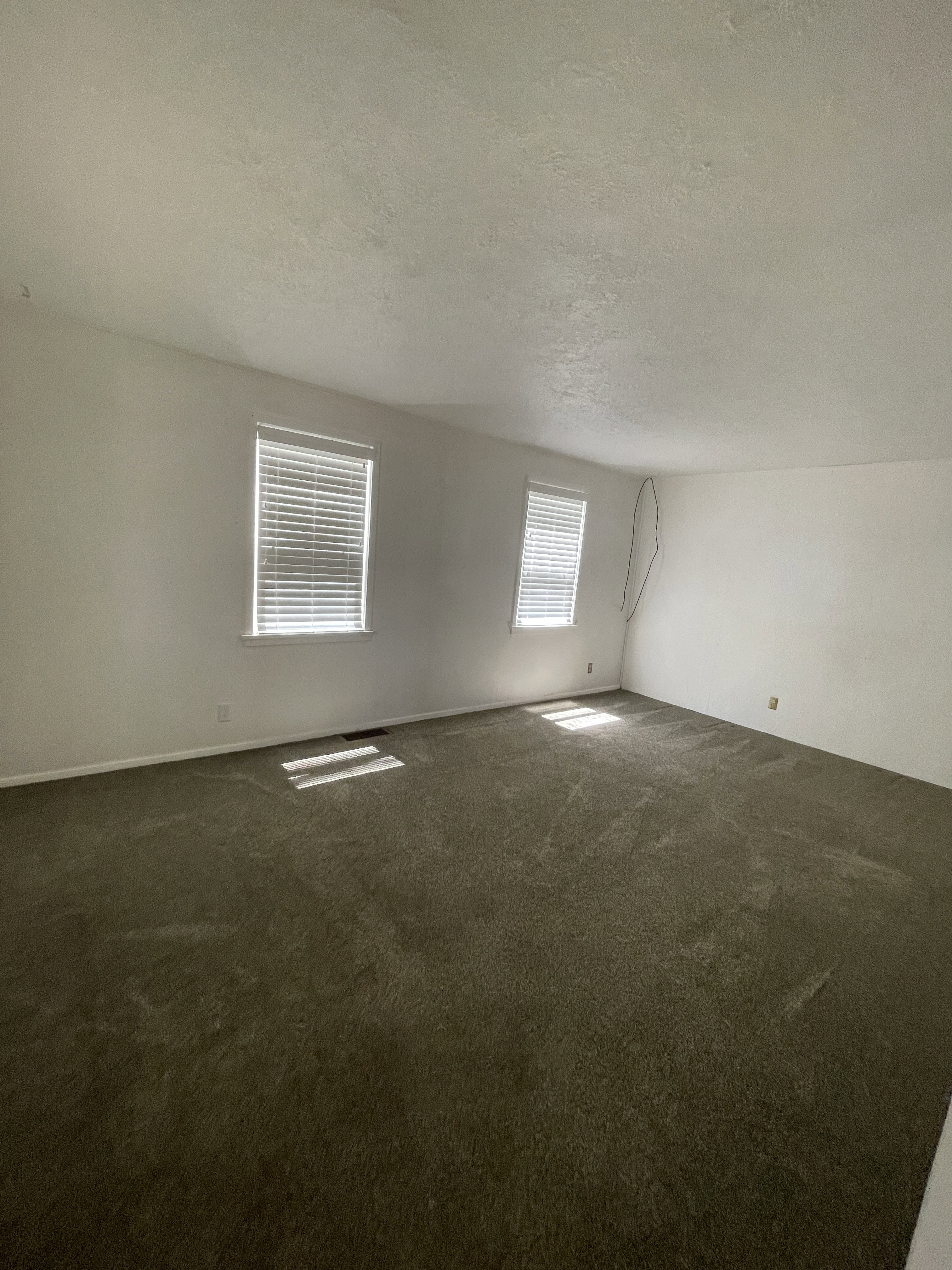 Spacious interior room featuring wall-to-wall carpeting and two windows with blinds