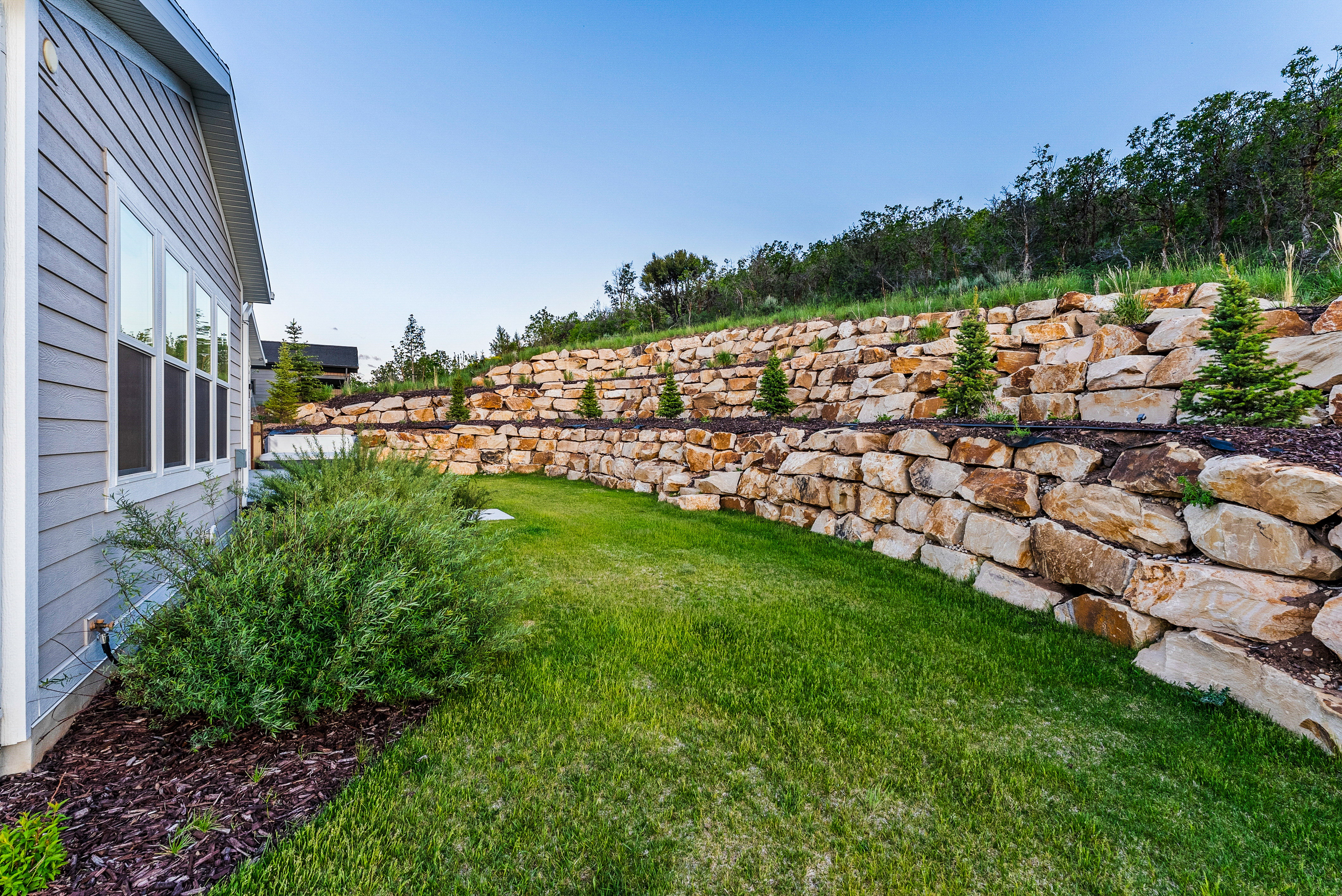 Expansive terraced rock wall landscaping featuring young evergreen trees and integrated mulch beds