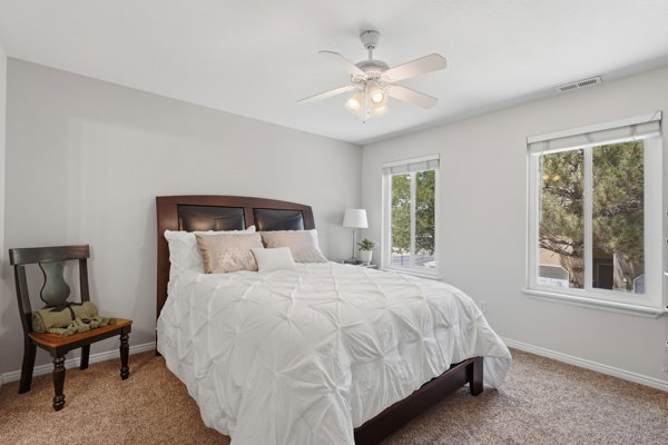 Bedroom with light gray walls, warm-toned carpet, two windows with roller shades, and a ceiling fan with integrated lighting