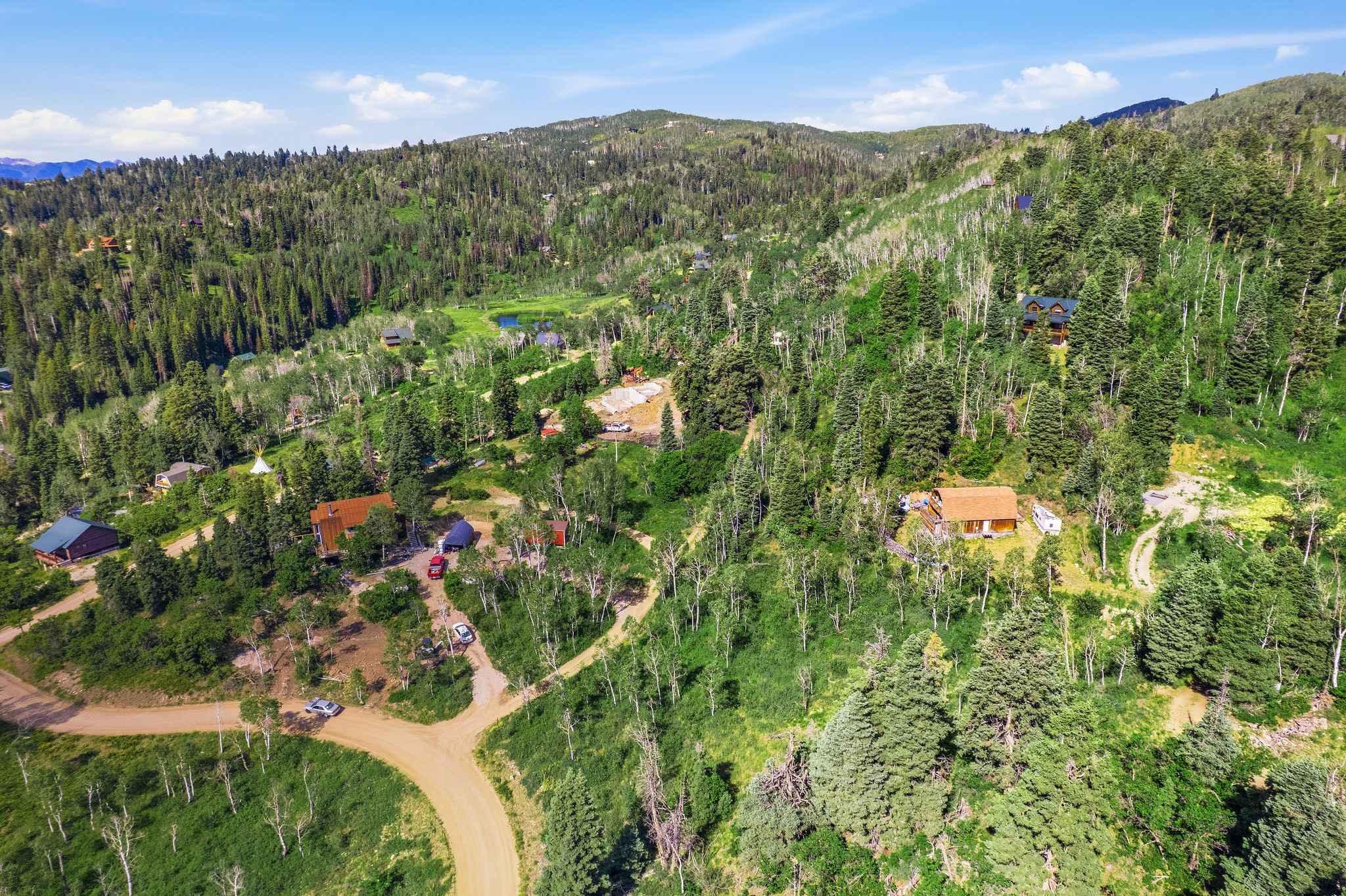 Expansive mountain landscape with diverse evergreen and deciduous trees