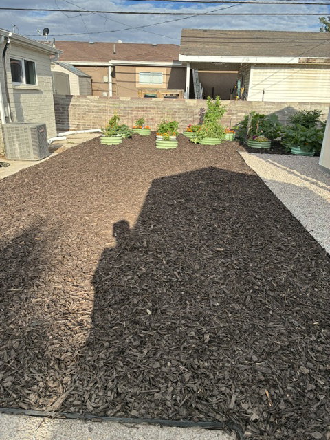 Spacious backyard area featuring dark wood mulch and a gravel path