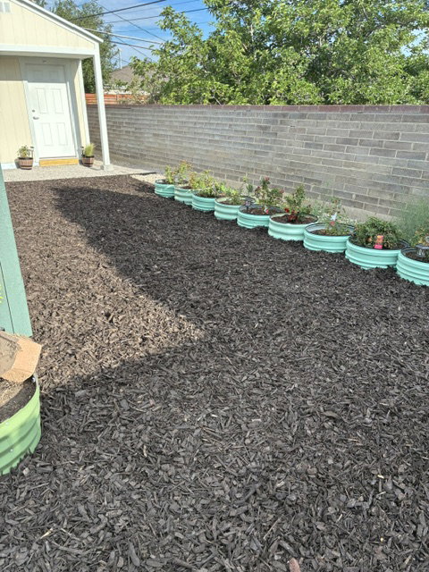 Landscaped yard featuring dark wood chip ground cover, a yellow-sided shed with a white entry door, and a row of elevated circular planters