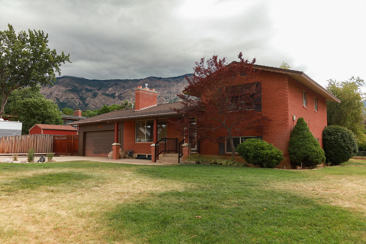 Front yard
