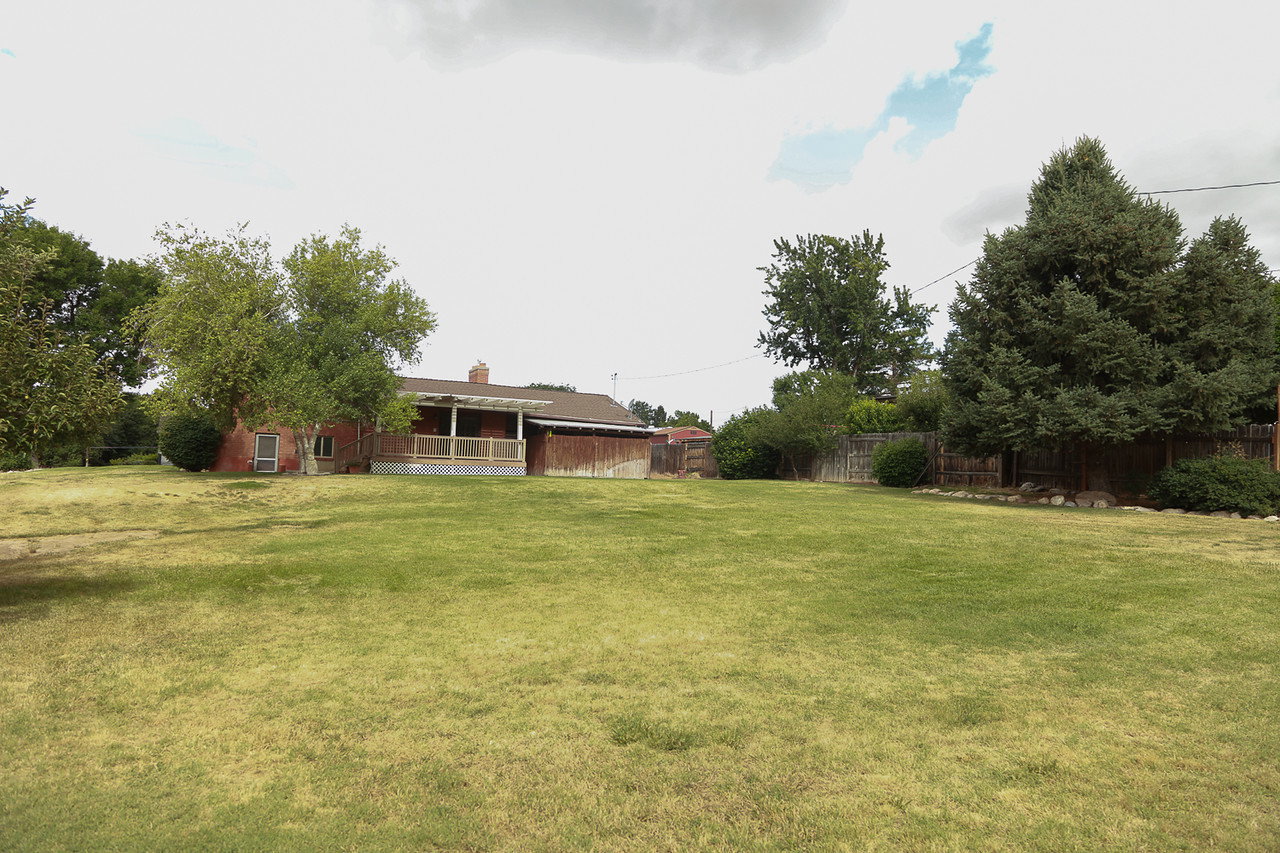 Expansive backyard green space featuring a large lawn area