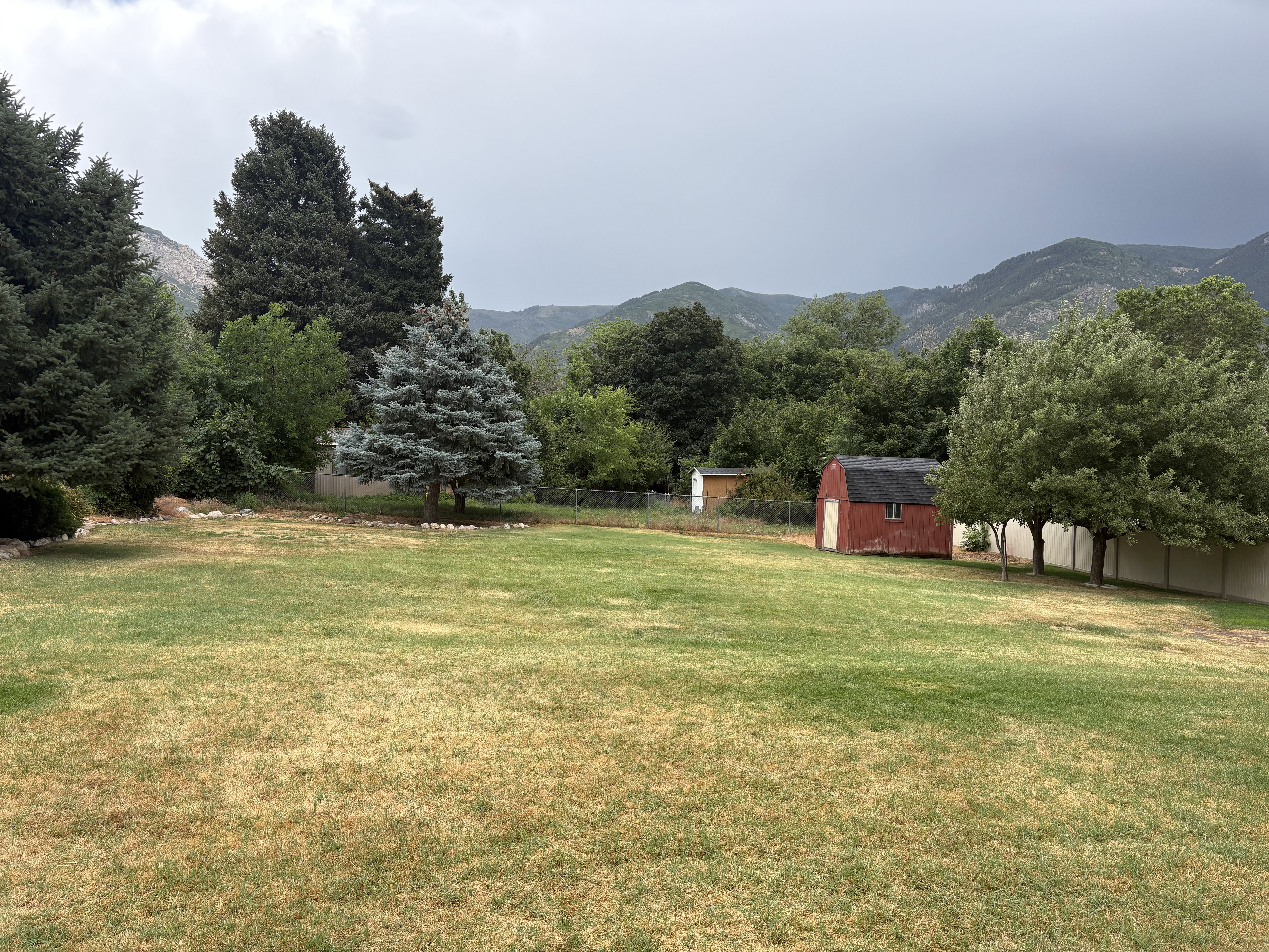 Expansive backyard featuring a large lawn, mature trees, a red shed, and a mountain backdrop