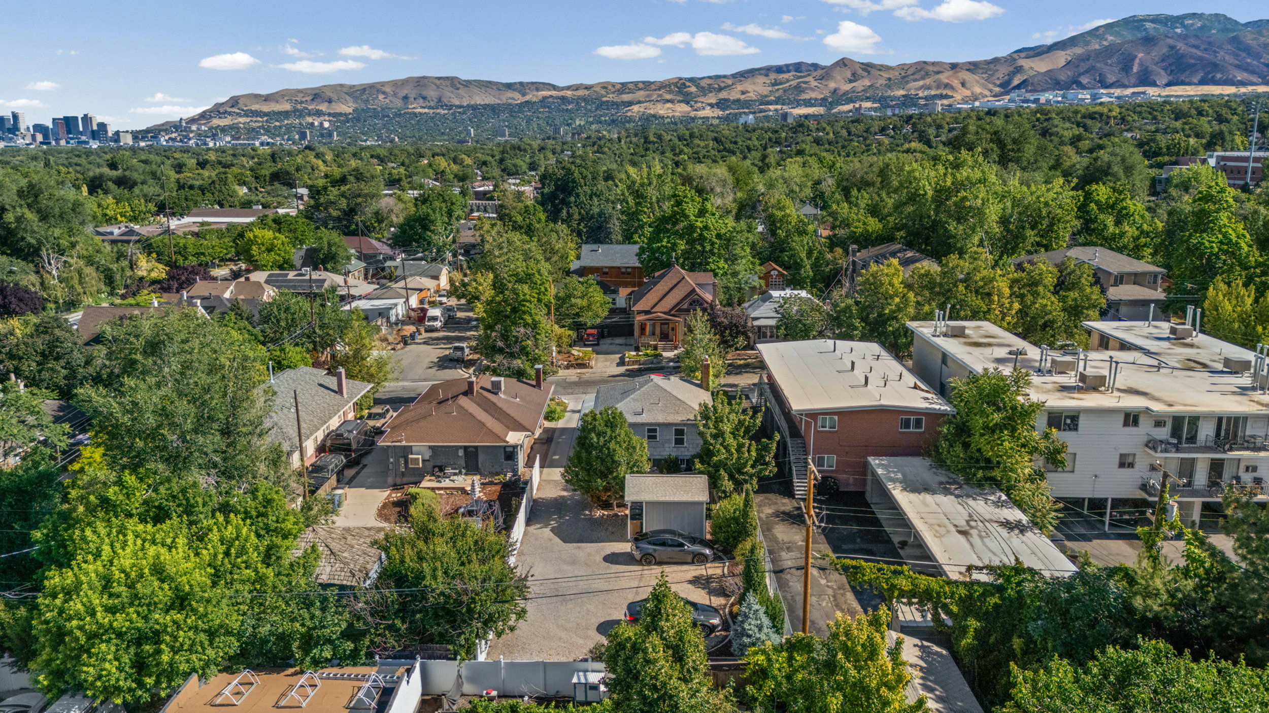 Residential neighborhood with mature trees and a distant cityscape