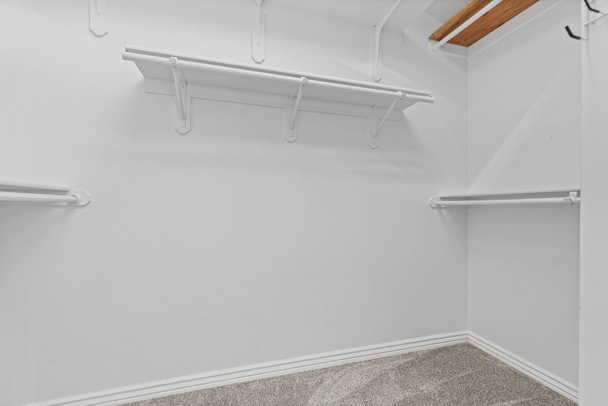 Walk-in closet featuring white walls, white shelving, and light gray carpet flooring