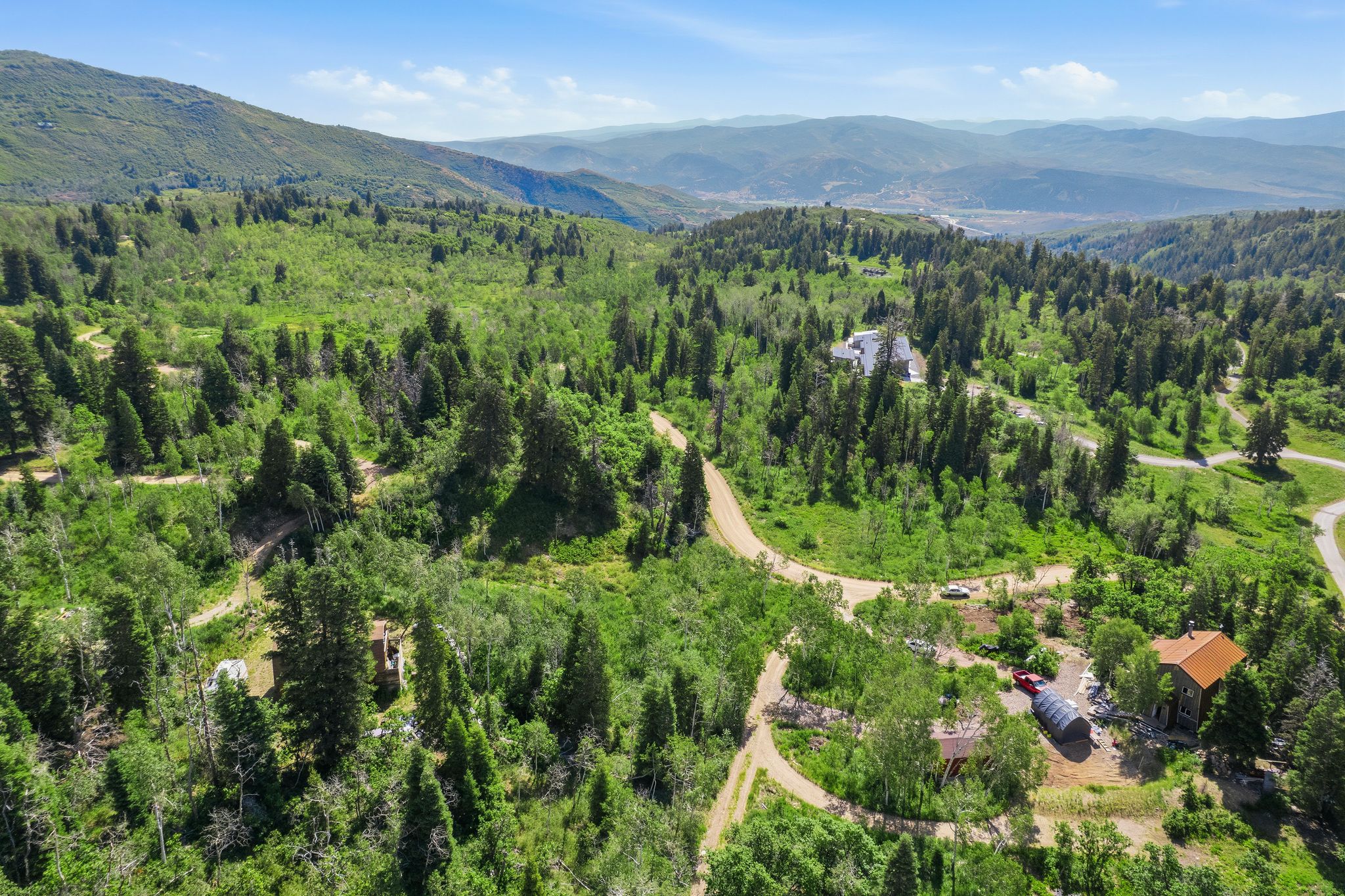 Expansive wooded terrain featuring diverse mature trees, rolling hills, and visible dirt roads