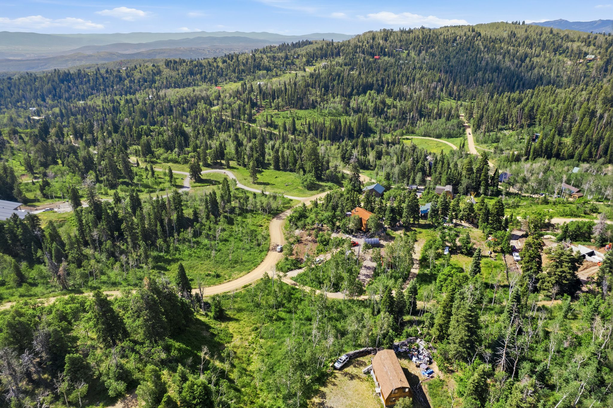 Expansive natural landscape featuring lush green foliage and mature evergreen trees