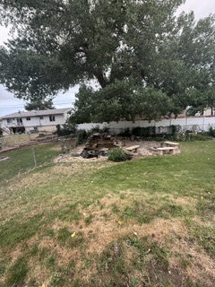 Terraced backyard featuring a rock water feature, stone paver patio, and mature trees