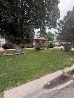 Front yard with established trees and green lawn