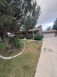 Brick exterior home featuring an attached two-car garage with a white door, a prominent front tree, a concrete driveway, and a front lawn with a curved planter bed