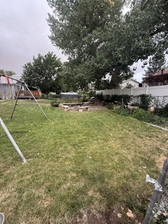 Expansive backyard featuring a large mature tree, established green lawn, and a fire pit area with stone block seating