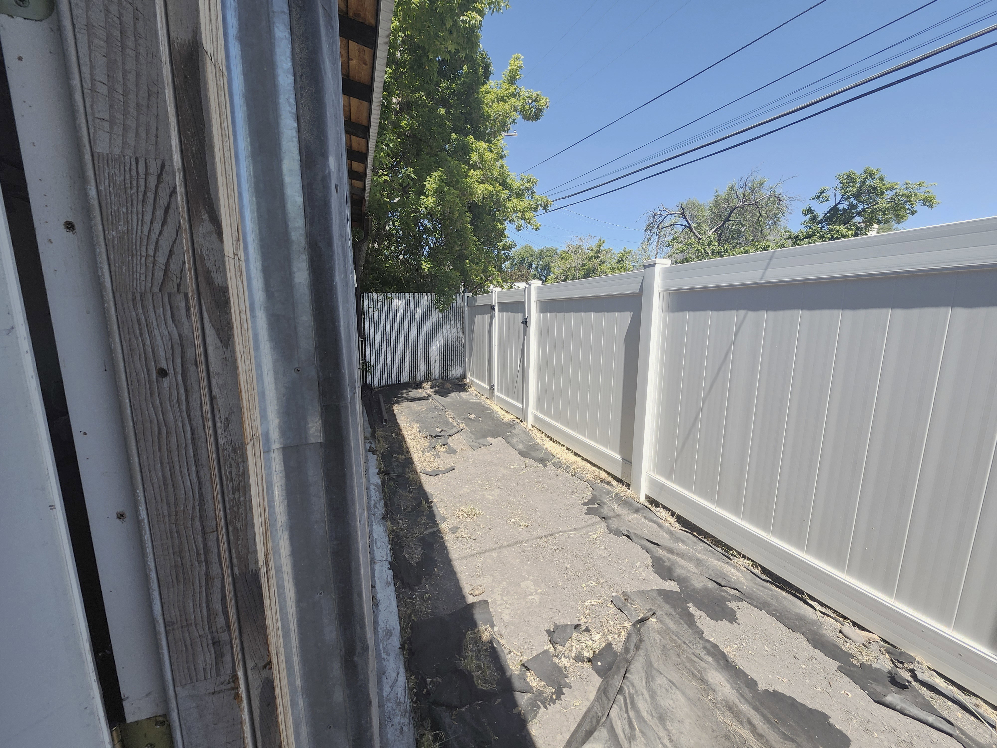 Image quality insufficient for description
