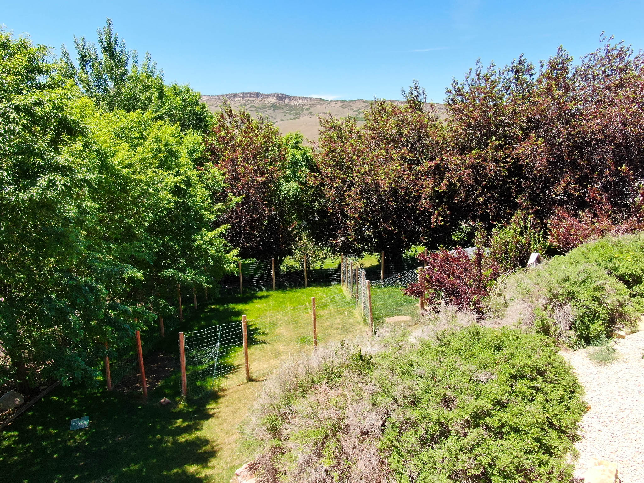 Expansive green space featuring a manicured lawn, established trees, perimeter fencing, and a distant mountain backdrop