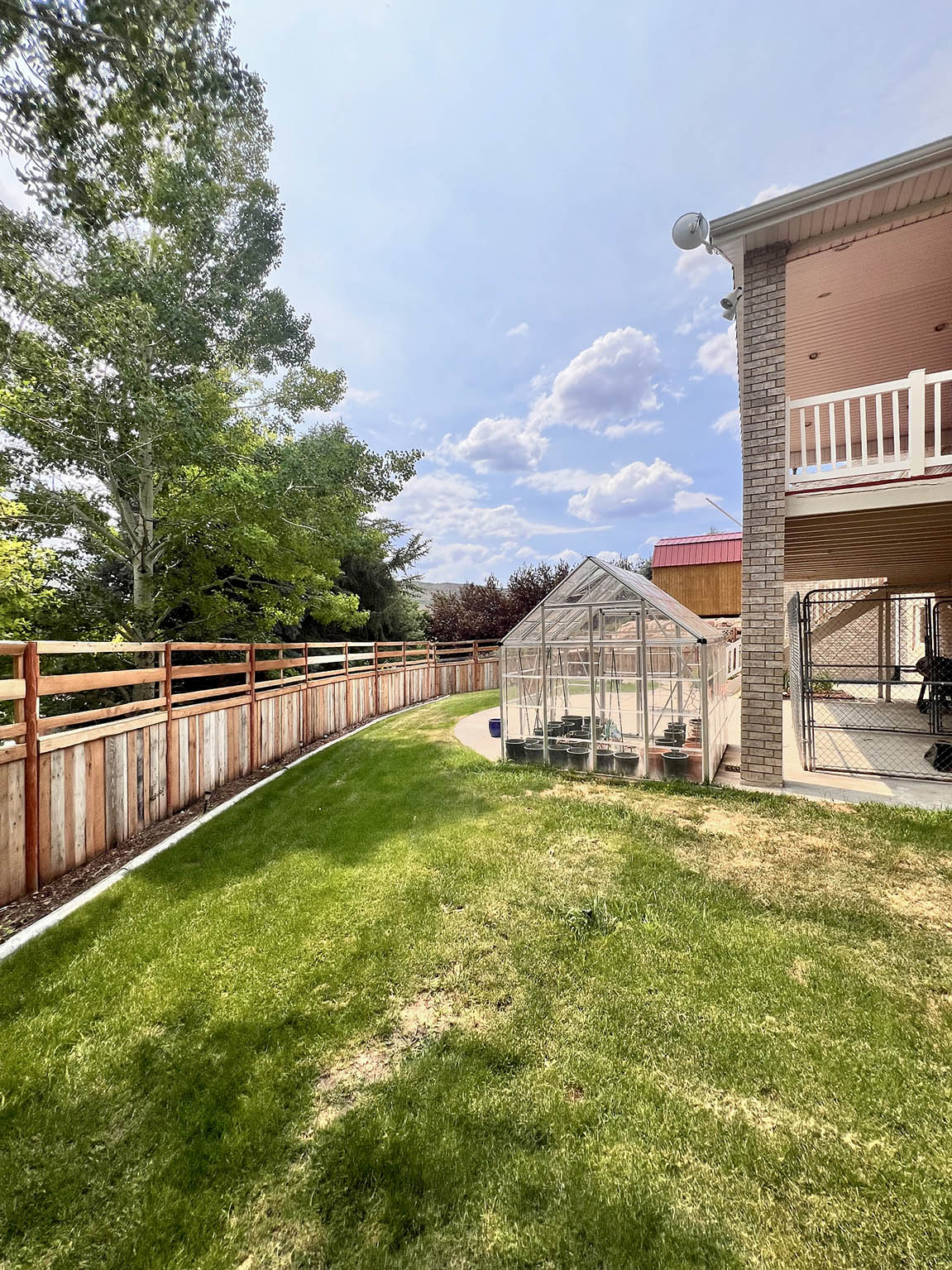 Expansive green lawn featuring a wooden privacy fence, mature trees, and a glass greenhouse