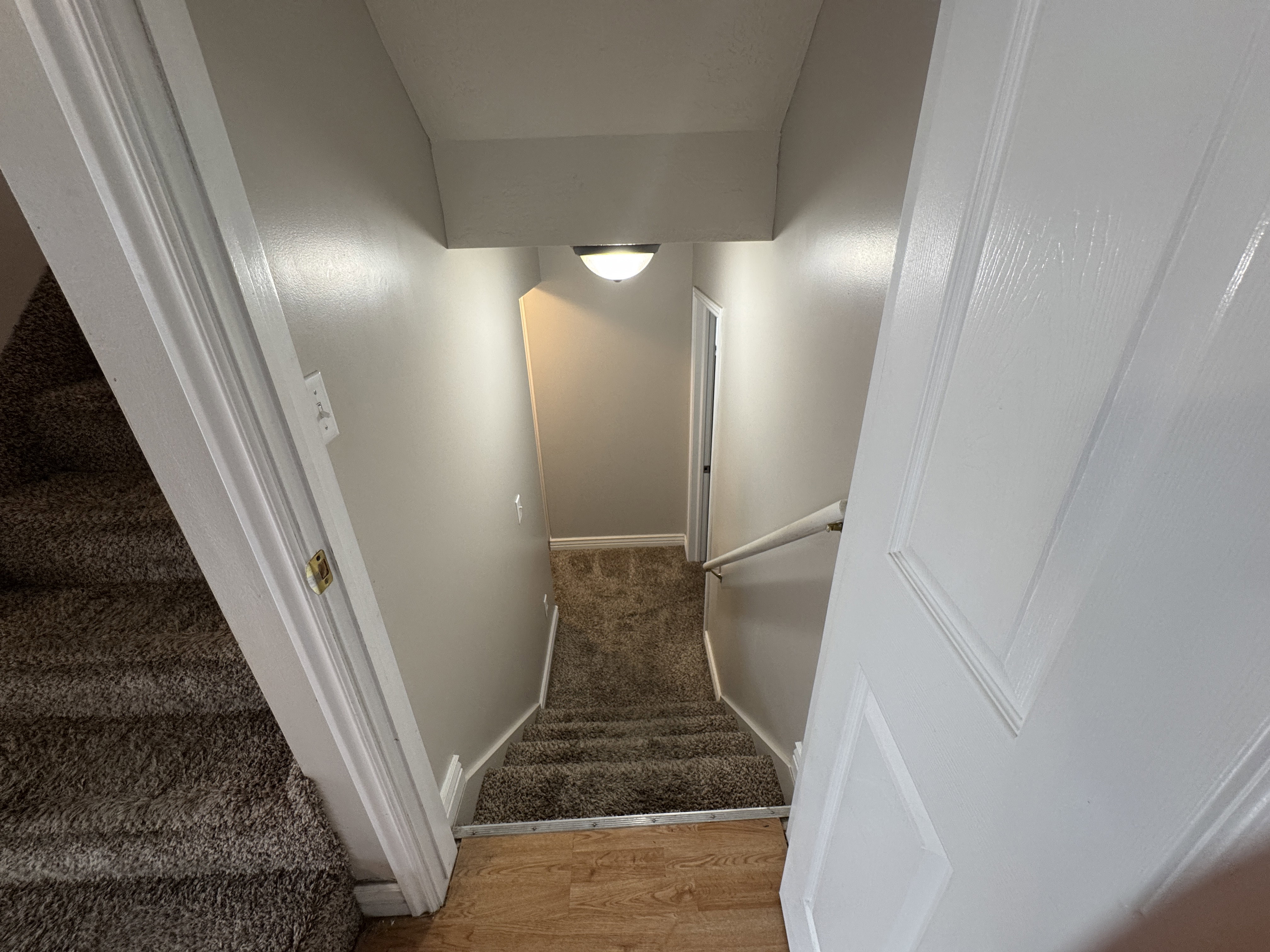 Carpeted staircase descending to a lower level with wood-finish flooring