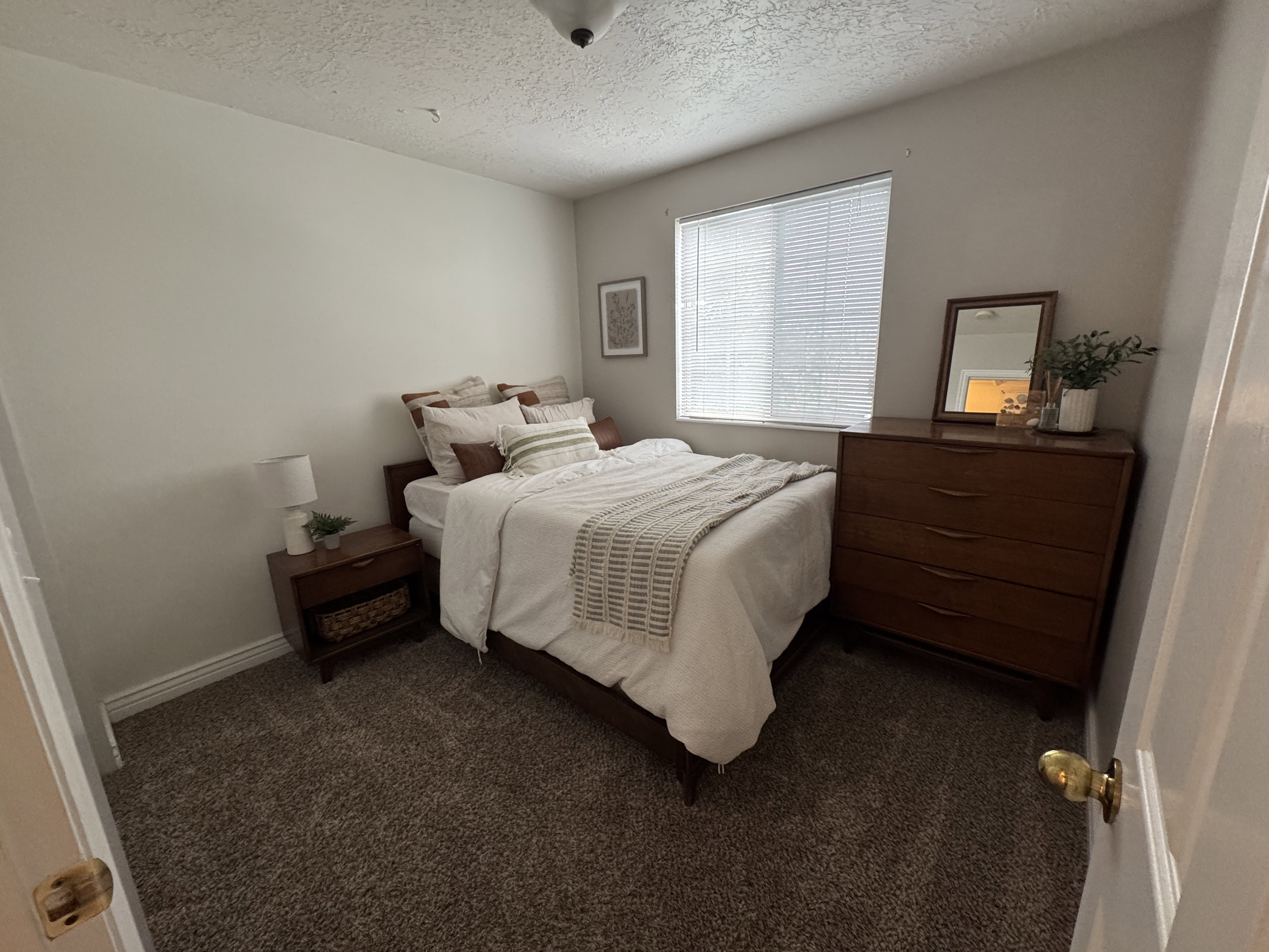 Neutral wall paint and textured carpet flooring define this room