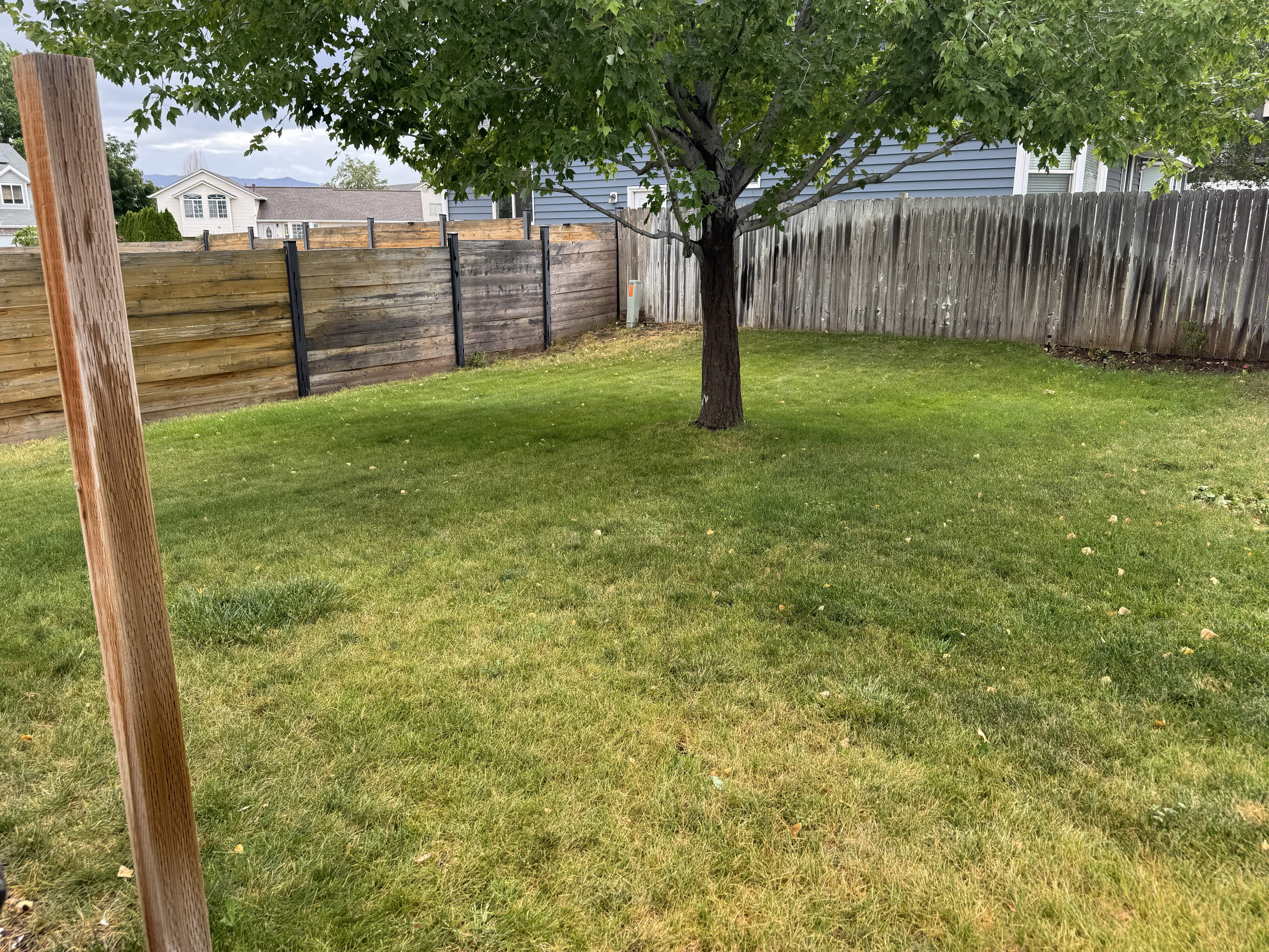 Expansive grassy lawn bordered by varied wooden fencing and a mature tree