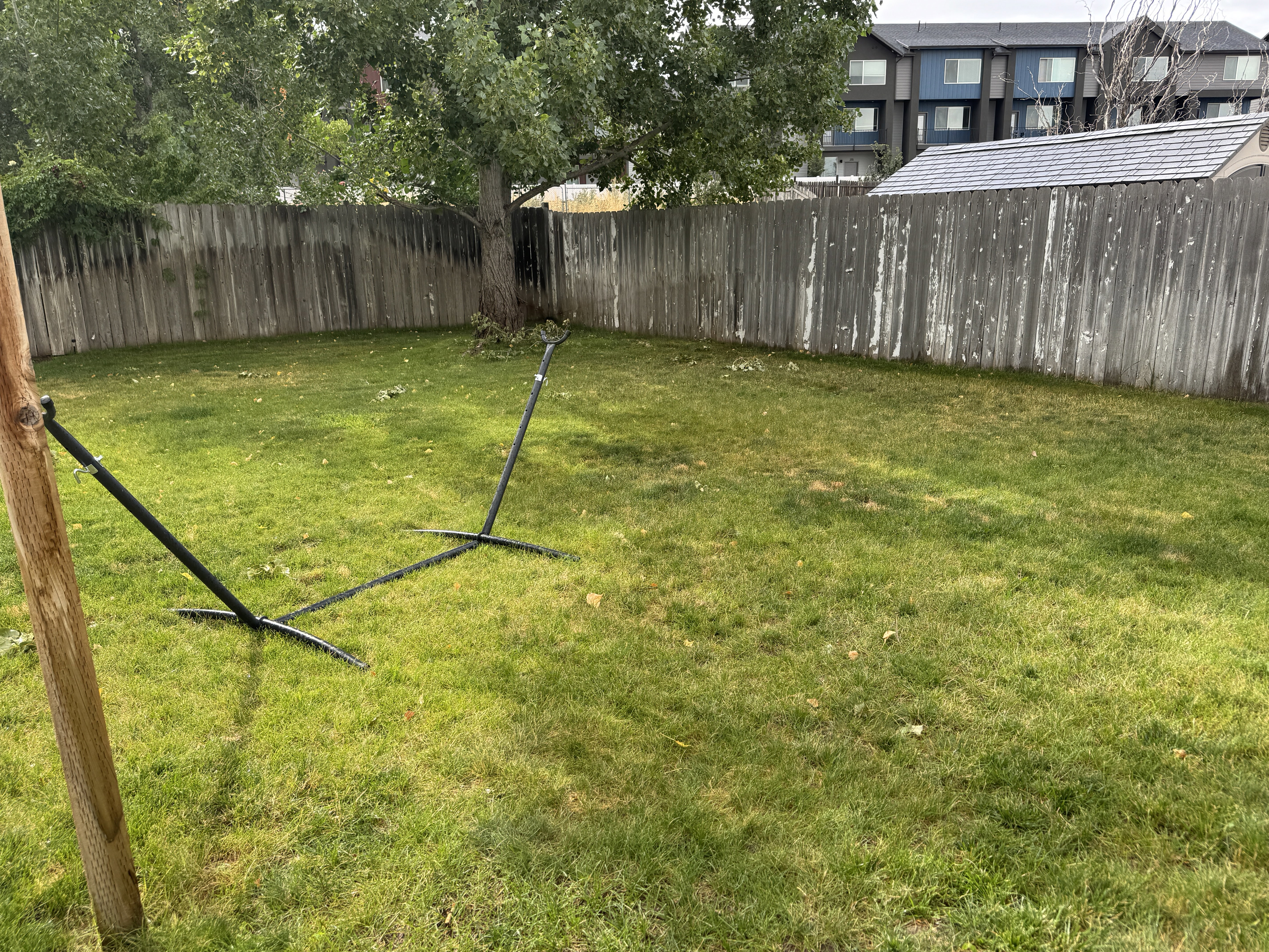 Expansive grassy yard area featuring a mature tree, bordered by a wood privacy fence