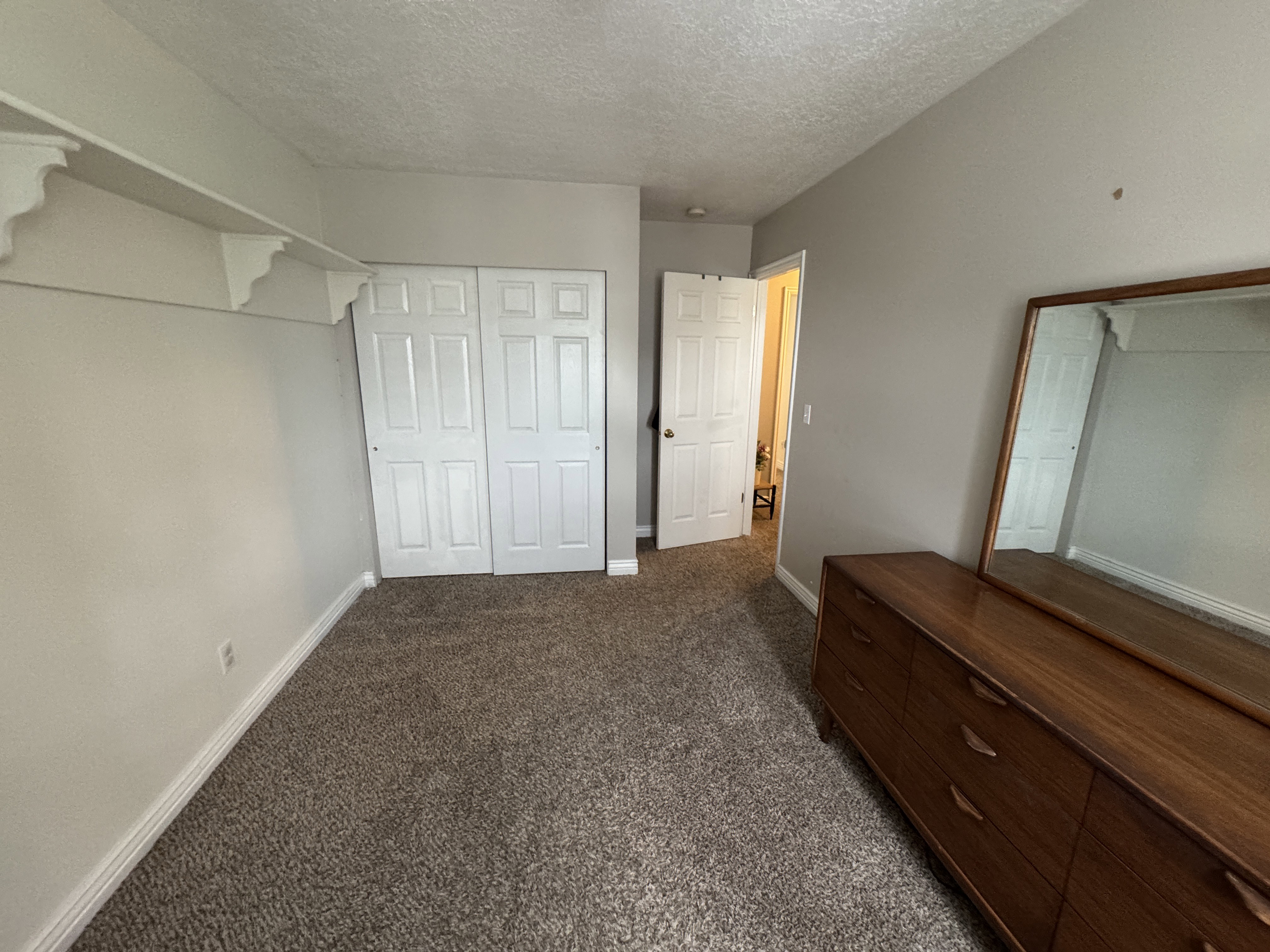 Carpeted room featuring light gray walls, white trim, and a white bi-fold closet door