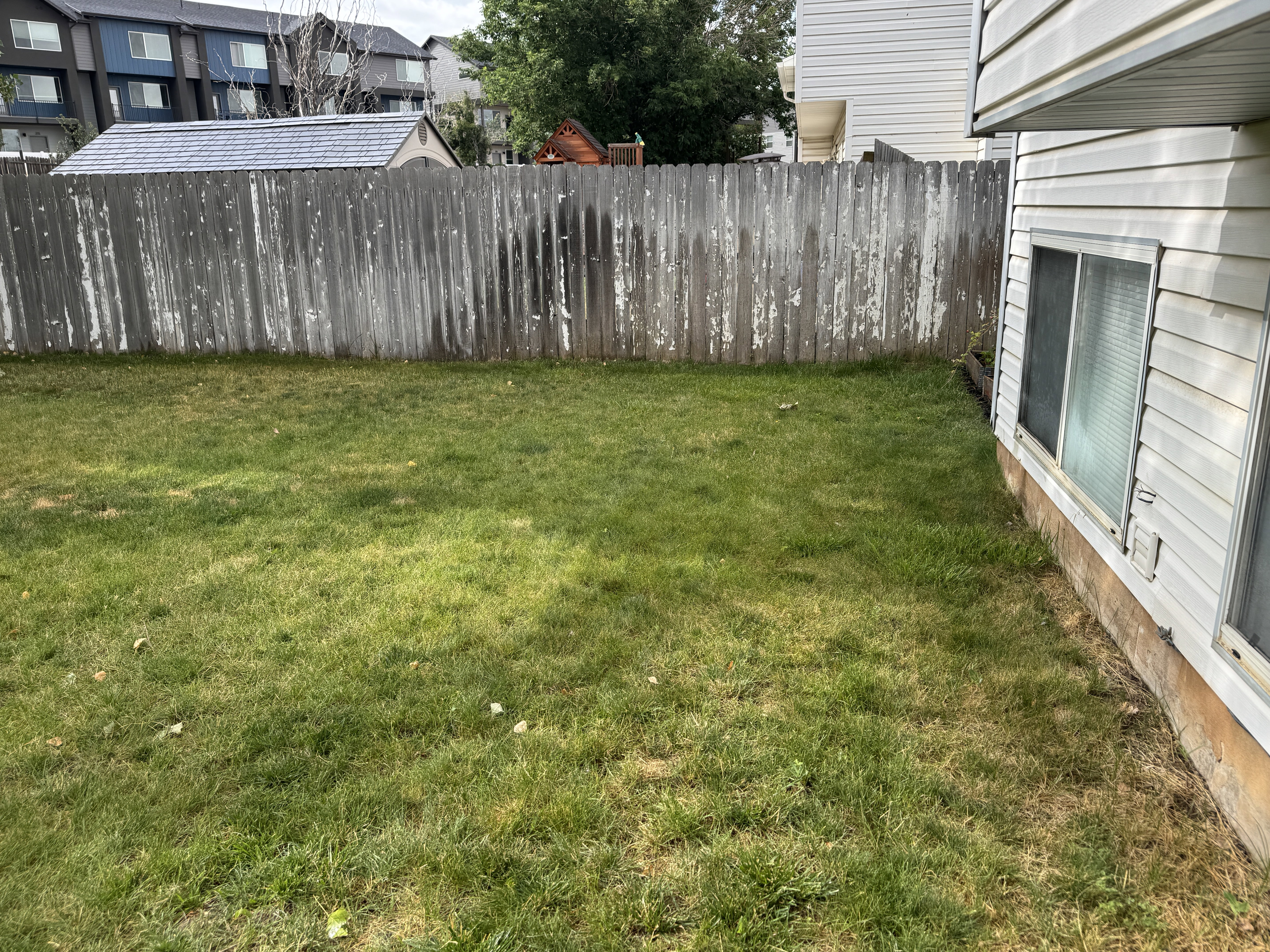 Expansive grassy yard with a weathered wood fence