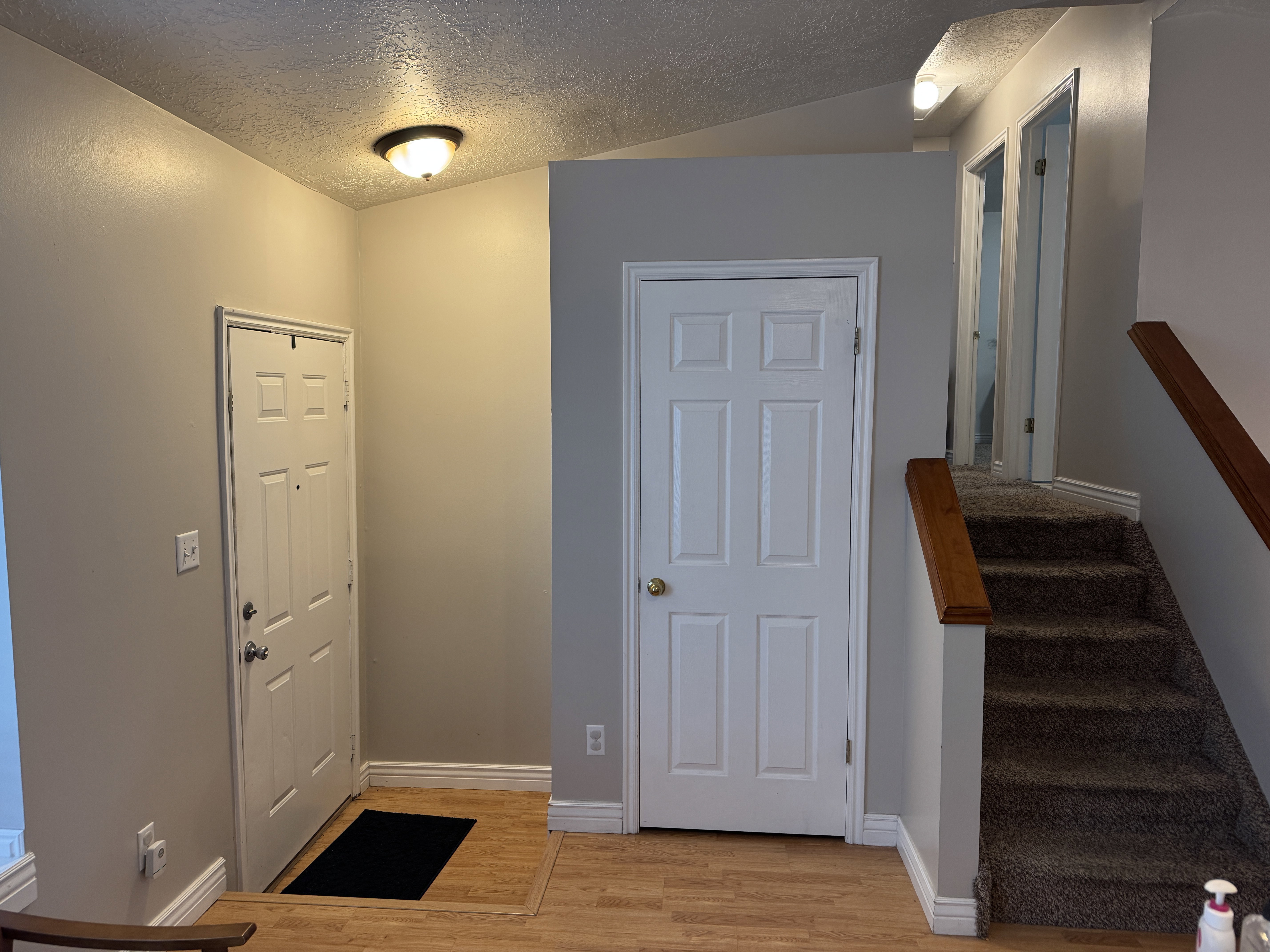 Entryway featuring wood-finish flooring, a six-panel door, and a flush-mount ceiling light