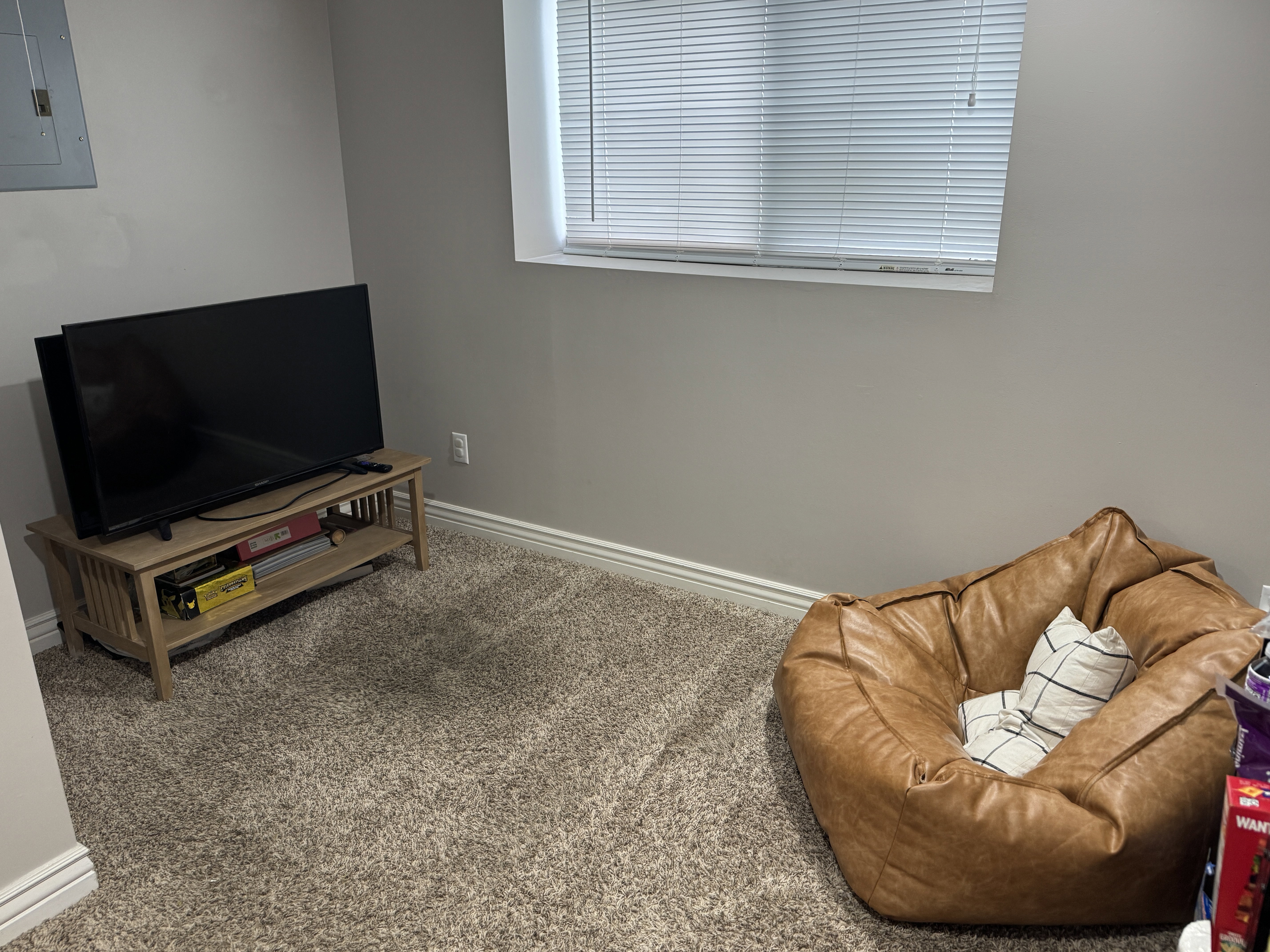 Plush carpeting with neutral wall tones and white baseboards