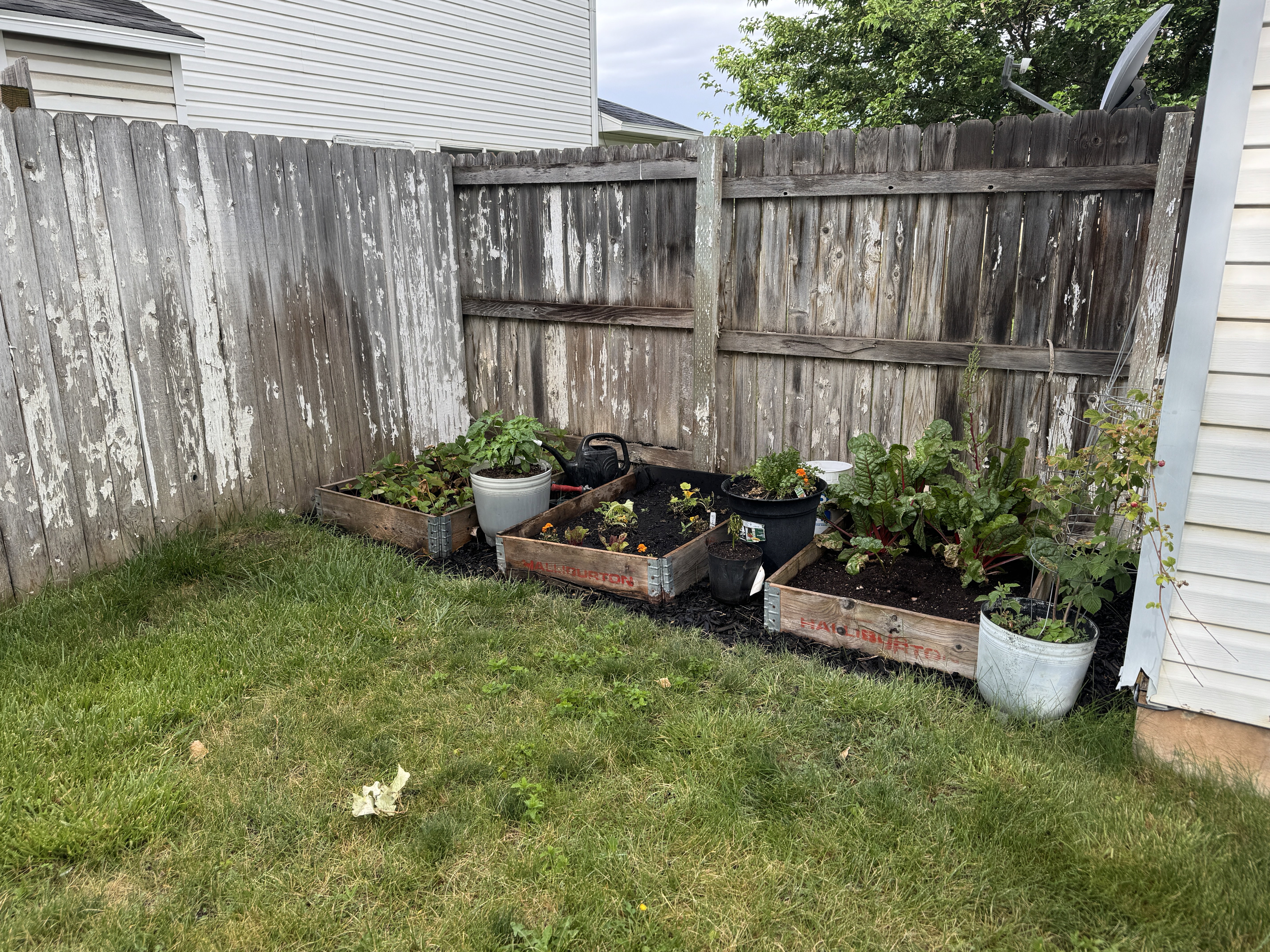Lawn area featuring raised garden beds and a wood privacy fence