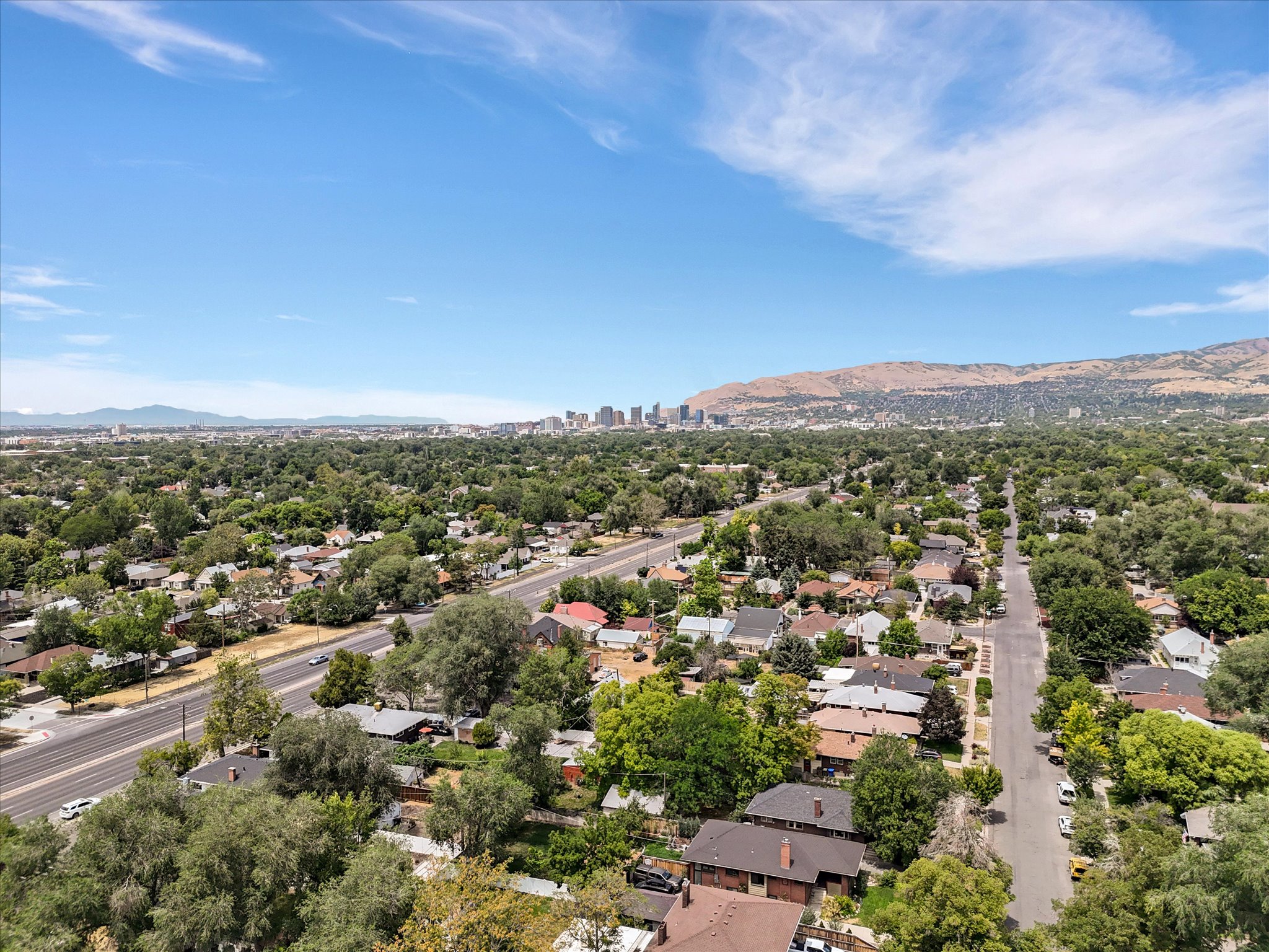 Expansive neighborhood with mature tree coverage and distant mountain backdrop