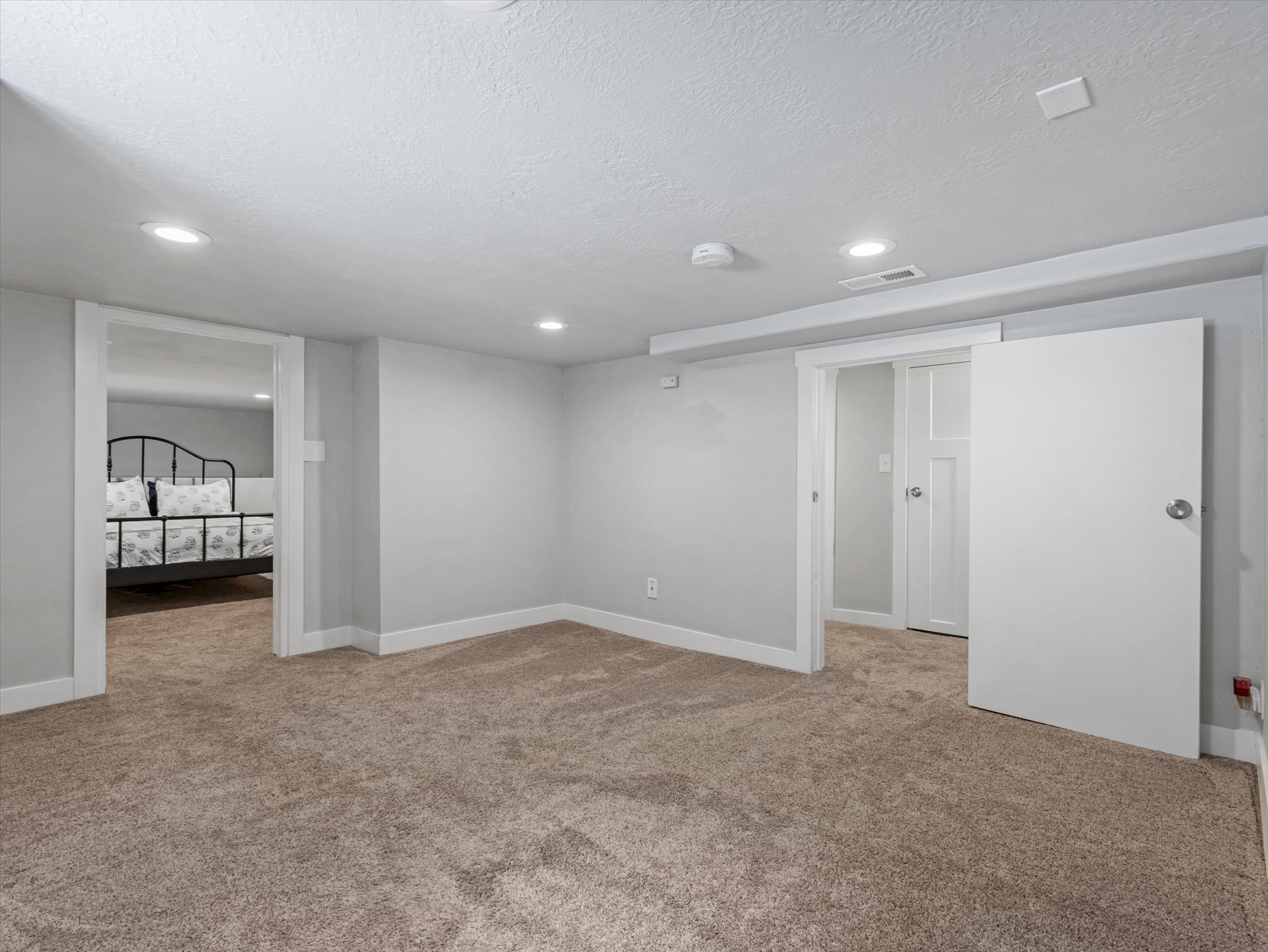 Lower level Flex room
