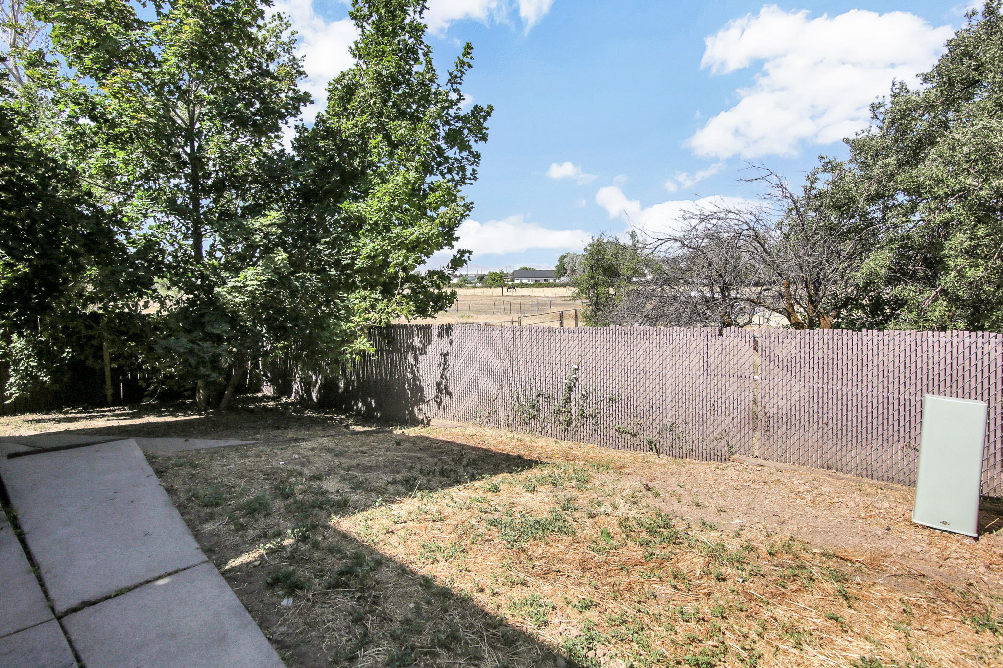 Expansive backyard featuring a concrete patio, mature trees, chain link fencing, and open field beyond