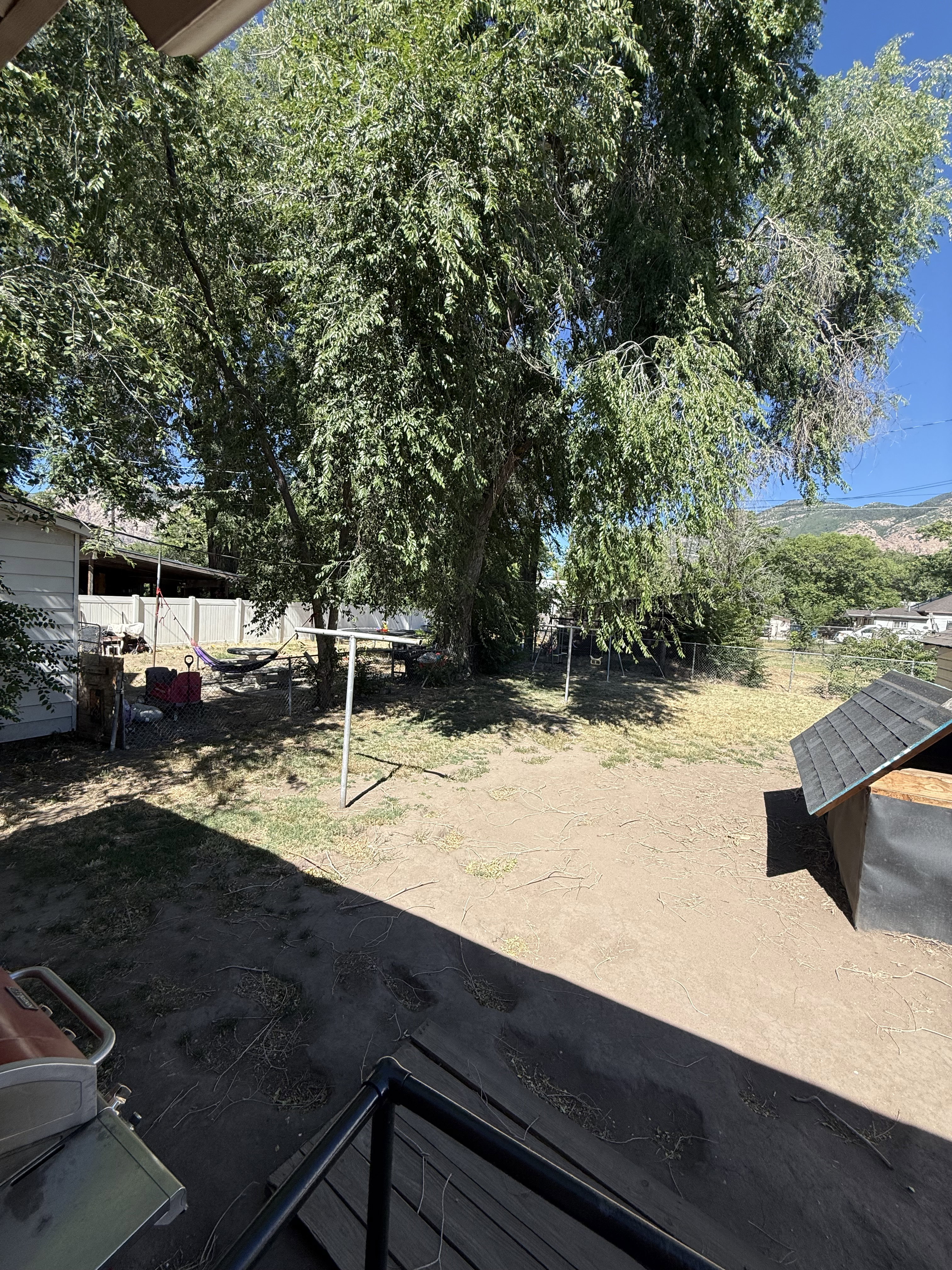 Expansive rear yard featuring mature trees and a partial mountain backdrop